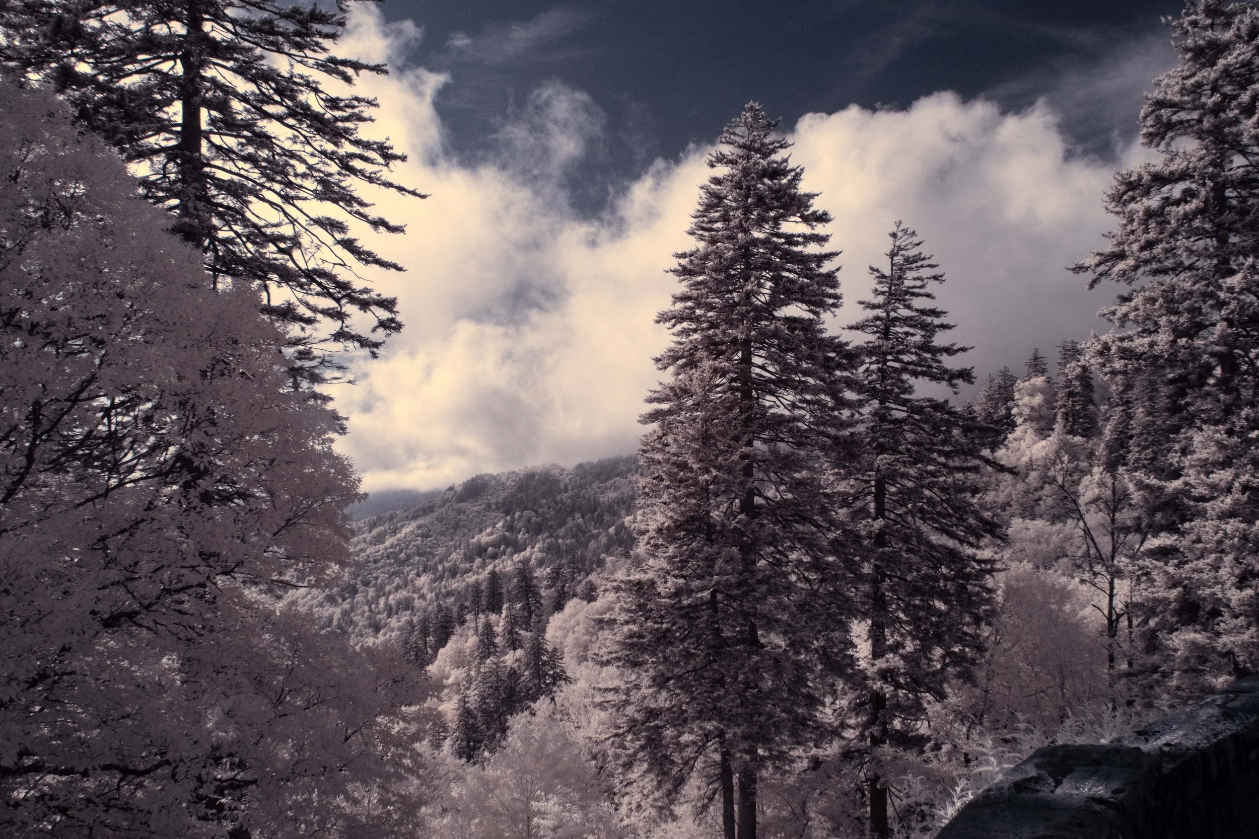 Overlook IR.jpg