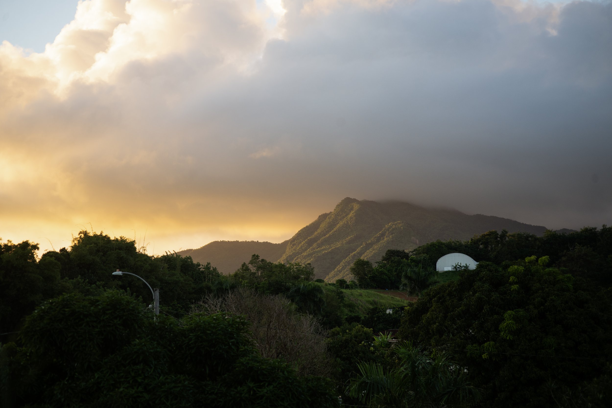 BackyardSunset copy.jpg
