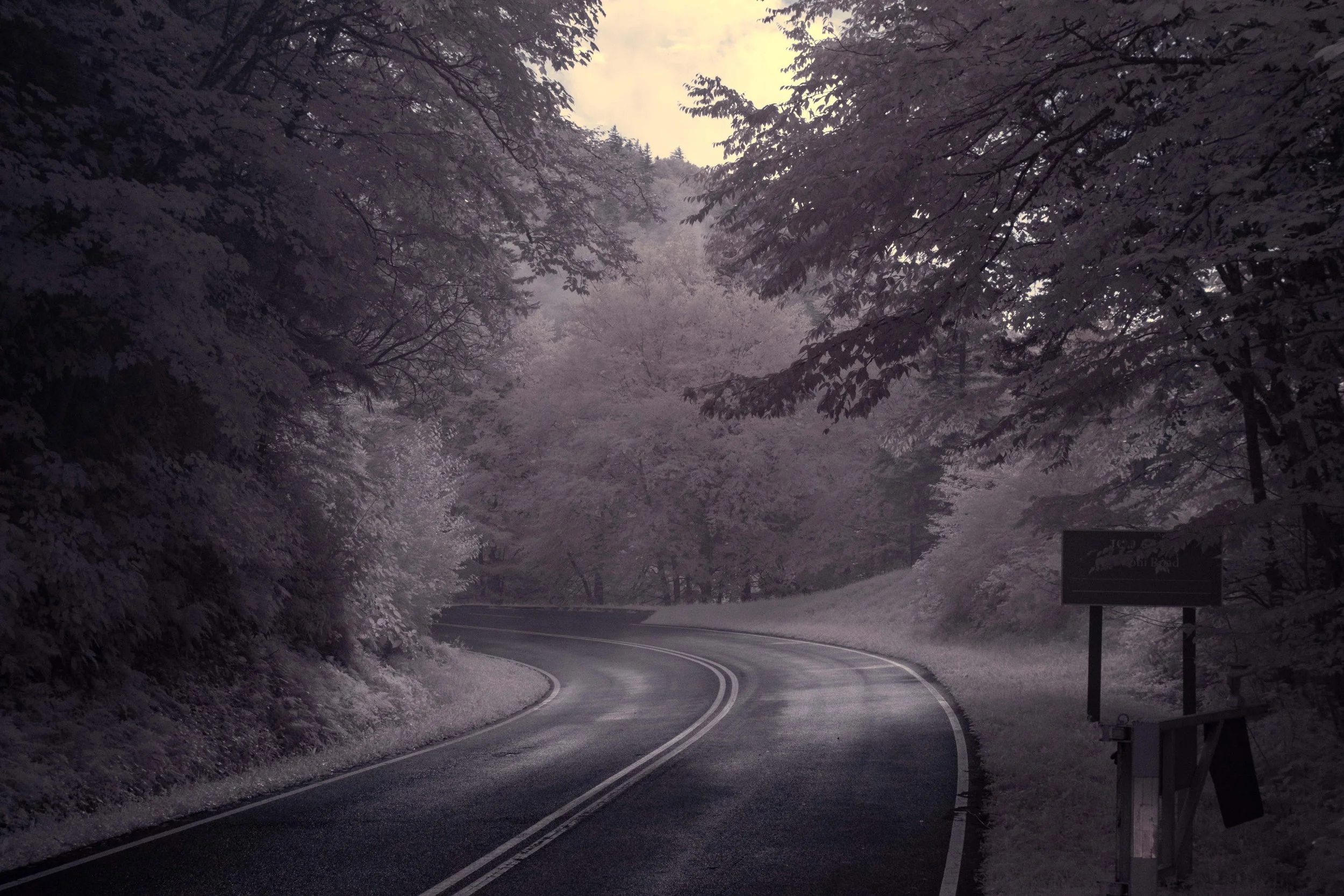 kuwoi Road IR.jpg