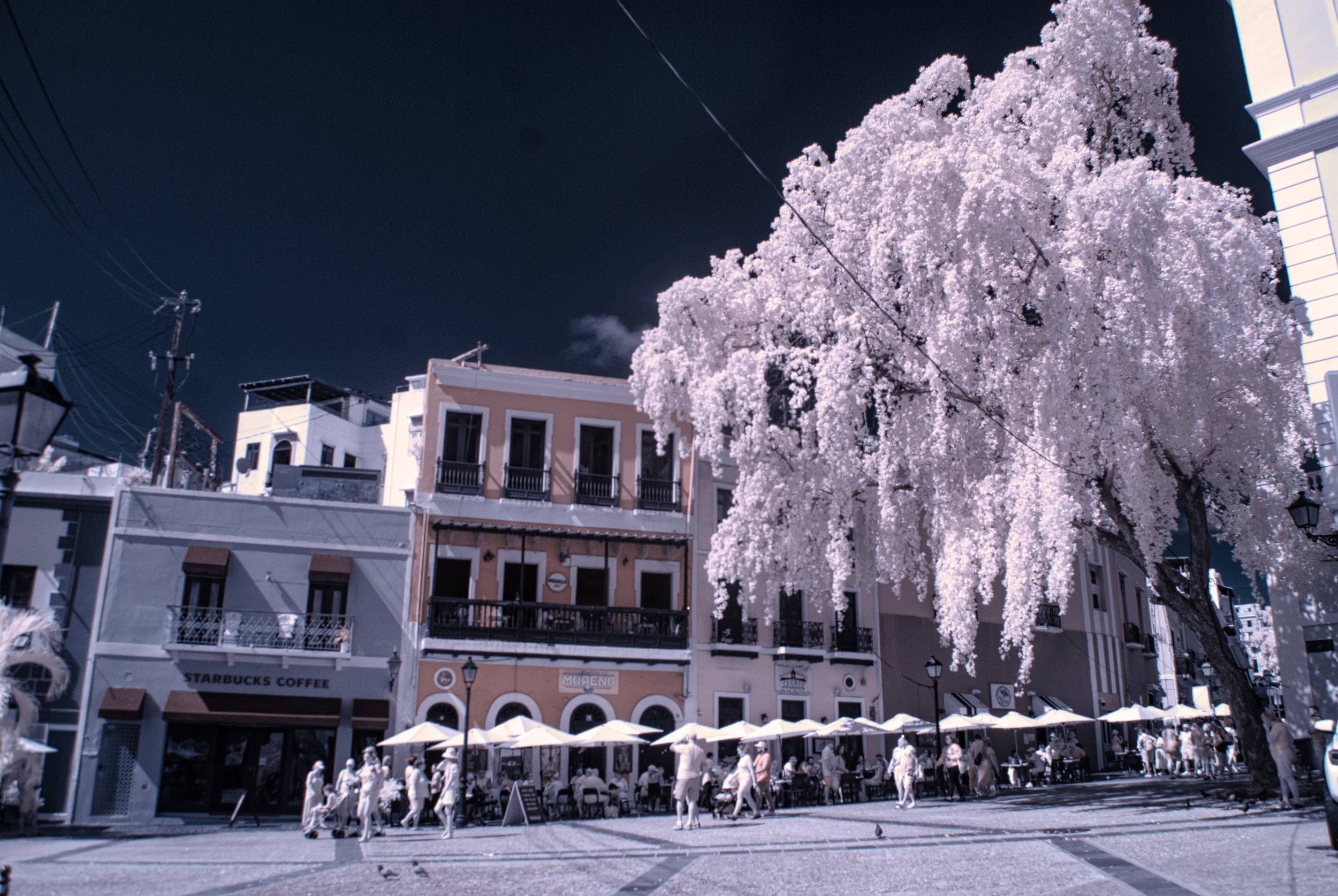 SanJaunStreetTreeandBuildings copy.jpg