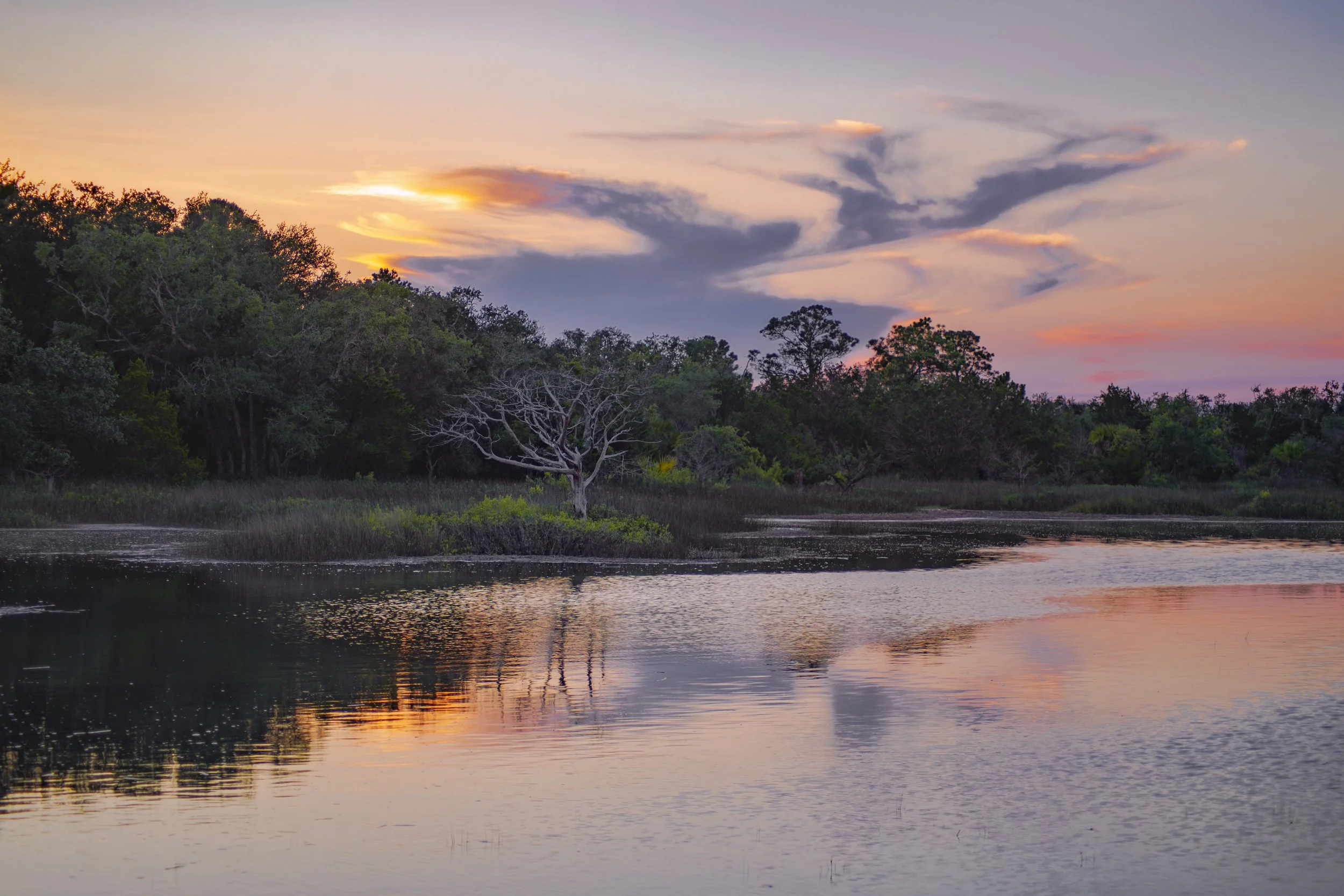 MarshTreeRainbowSunset.jpg