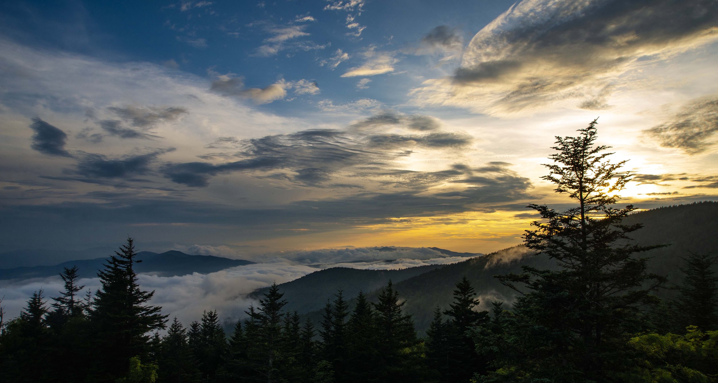 Great Smokey Mountain View.jpg