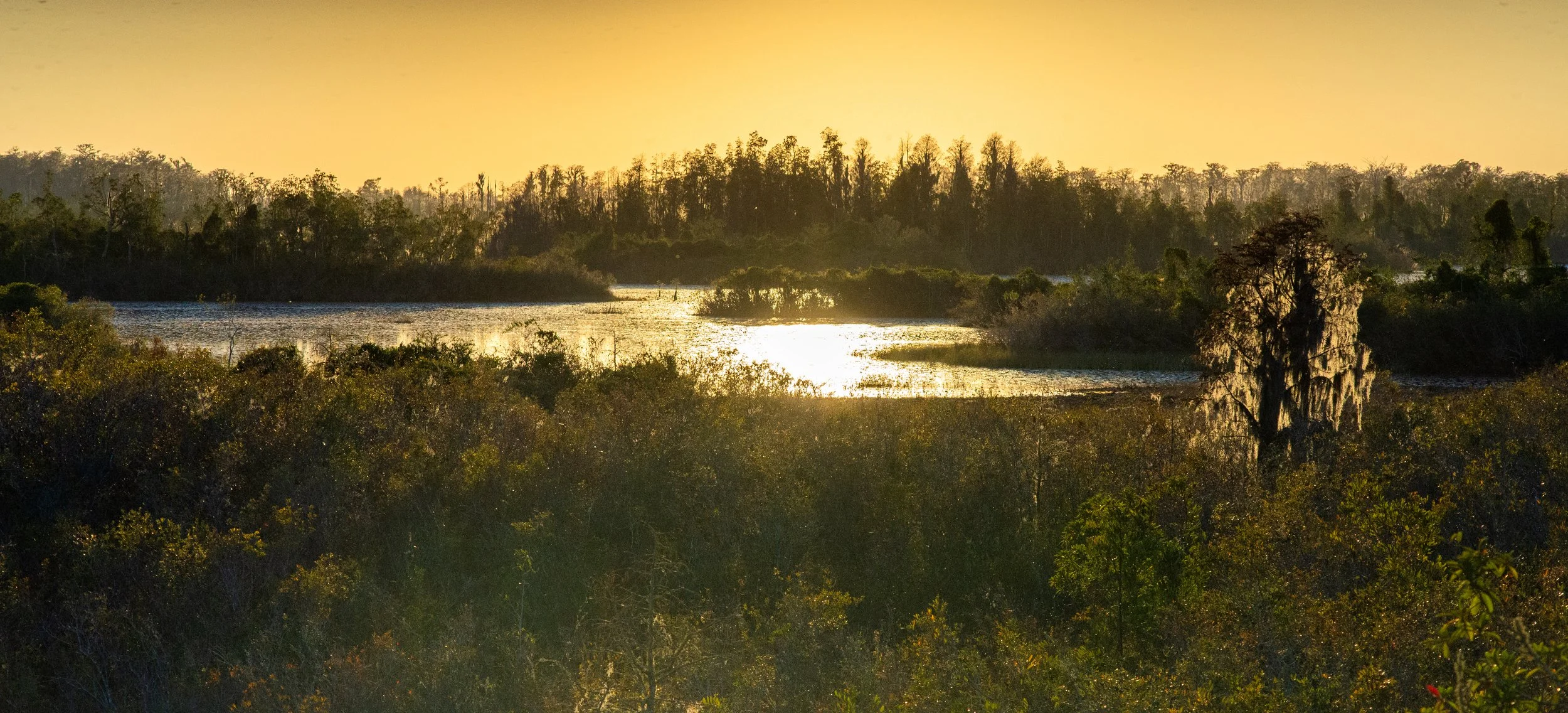 WatchTower Sunset.jpg