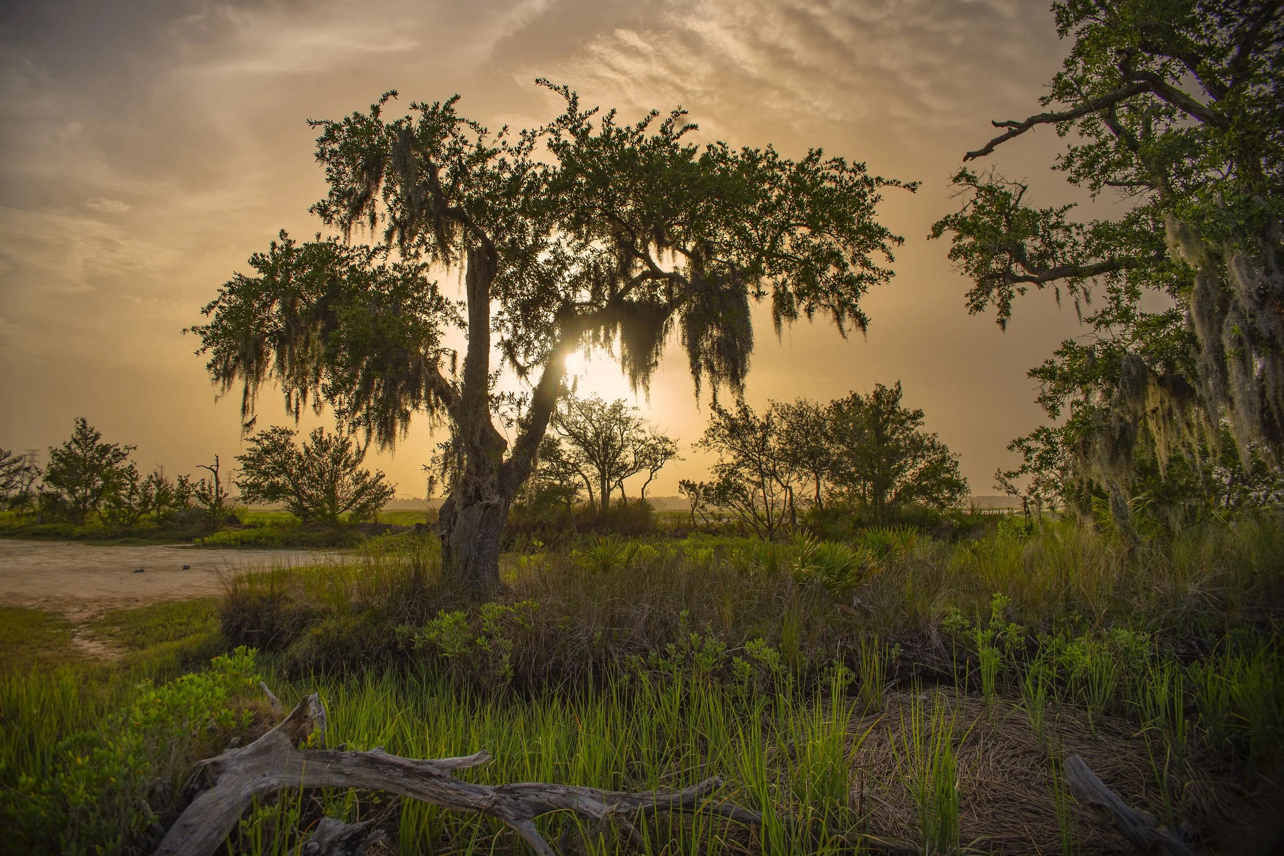 DustyMarshSunsetPickney.jpg
