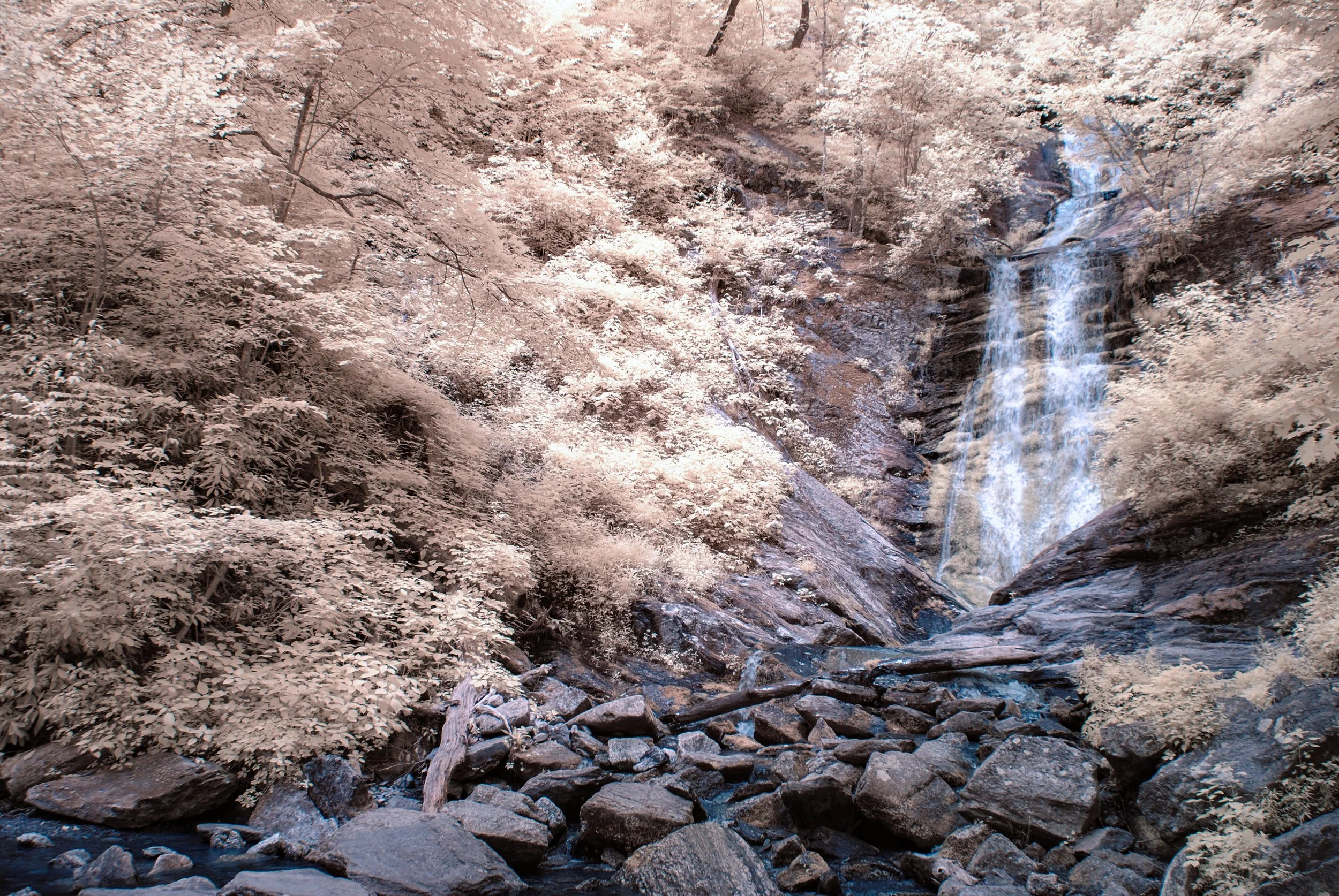 DSC_0118333.jpg