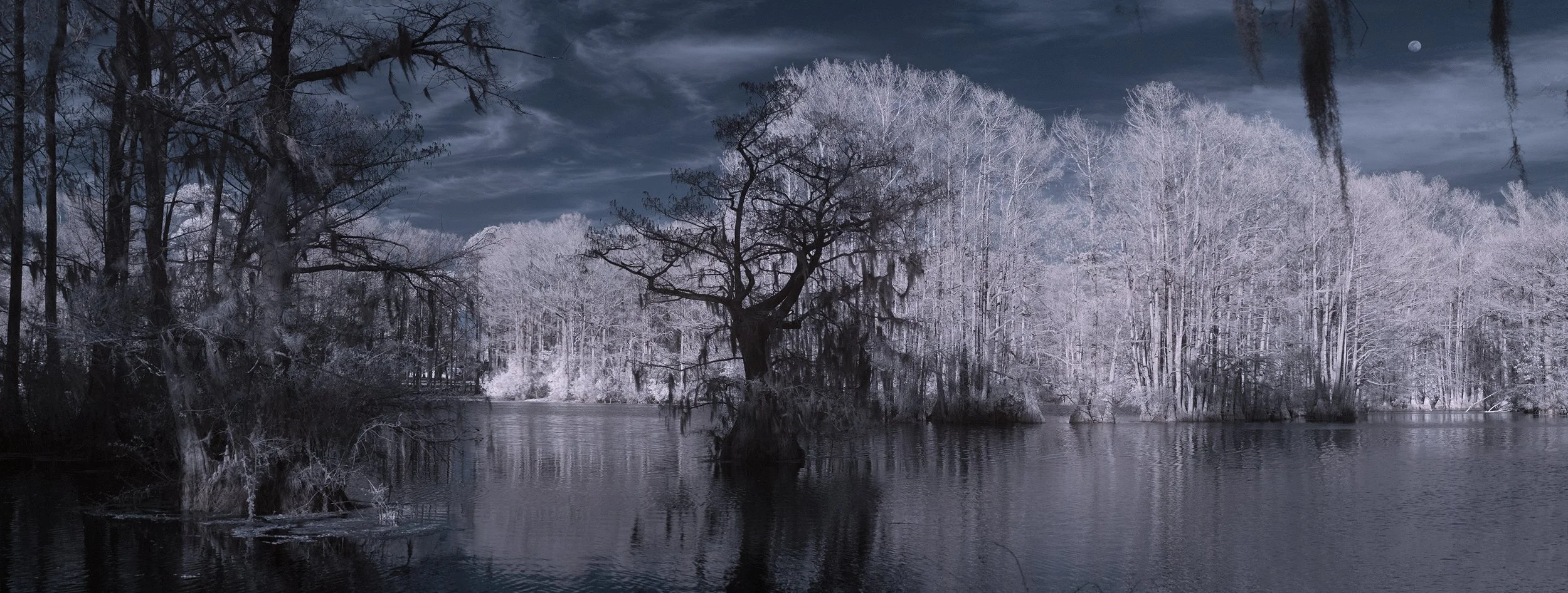 GreenField Lake Large Cypress Panoramic with Moon Edit copy.jpg