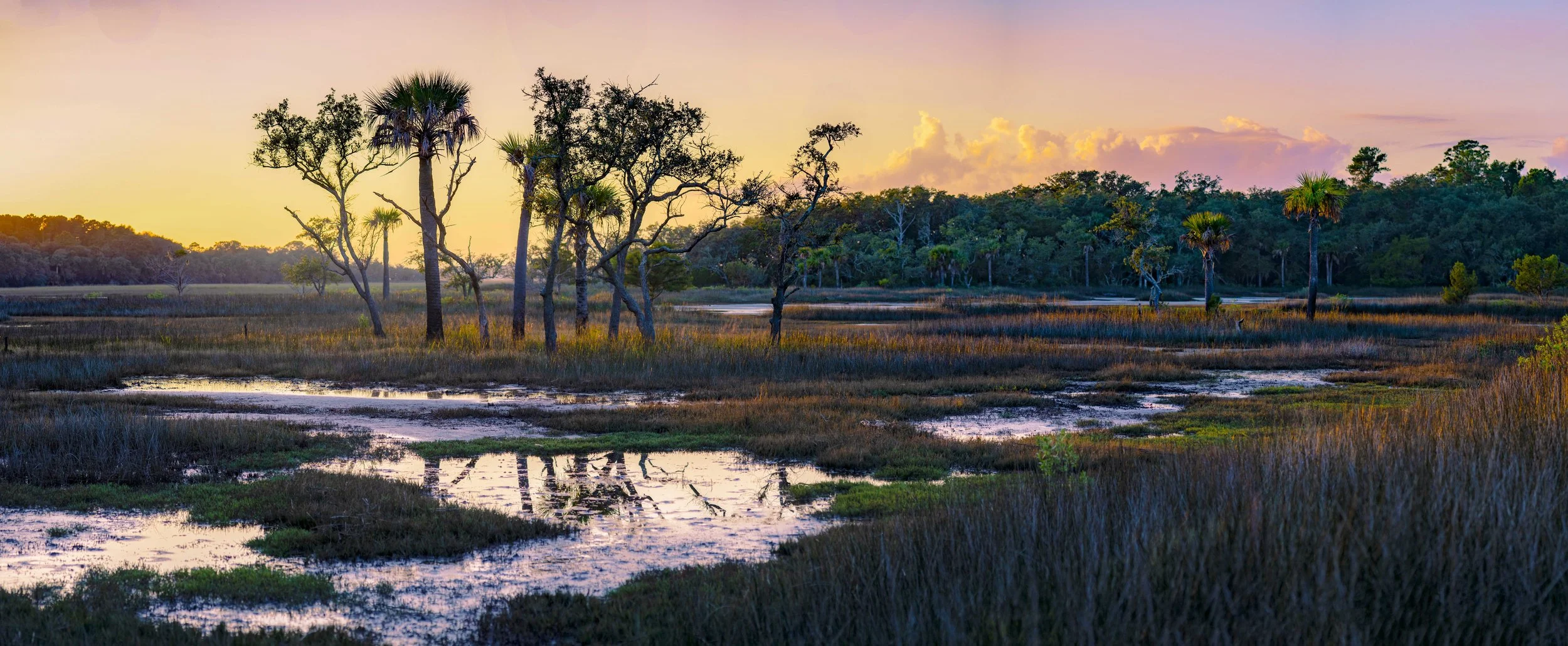 ClearmarshlandSunset.jpg