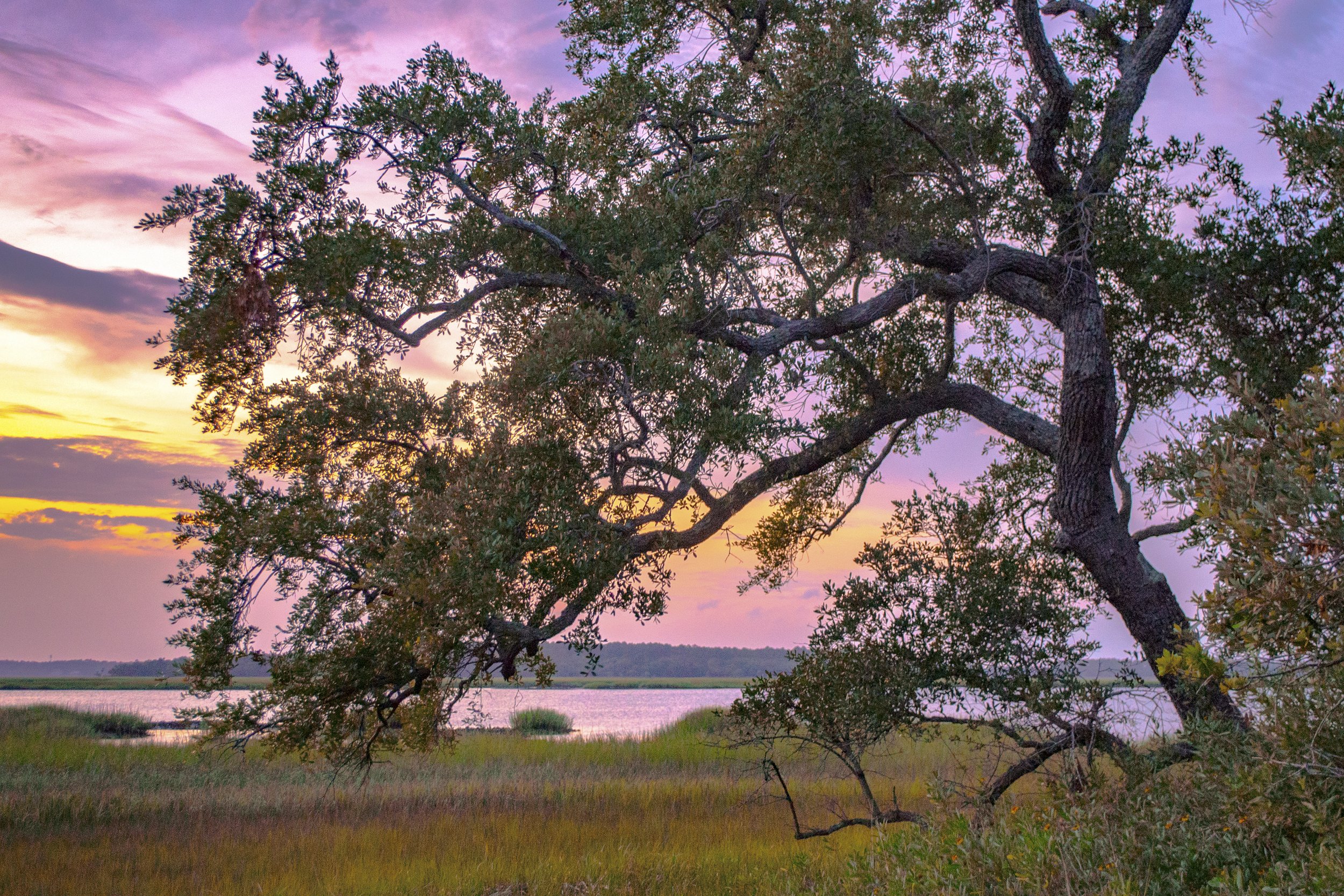 Colorfulsunset.jpg