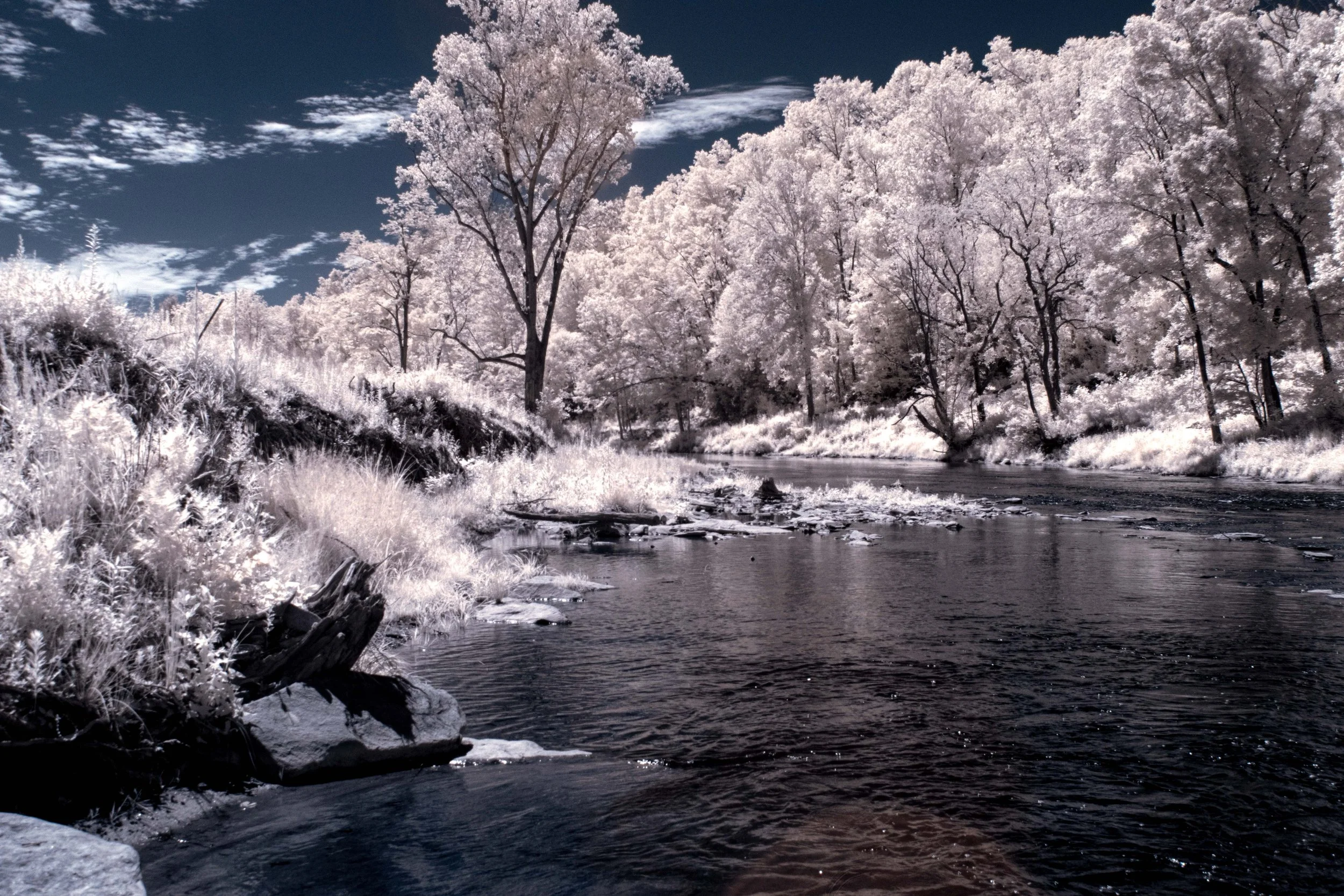 Forest River at Springmaid IR.jpg