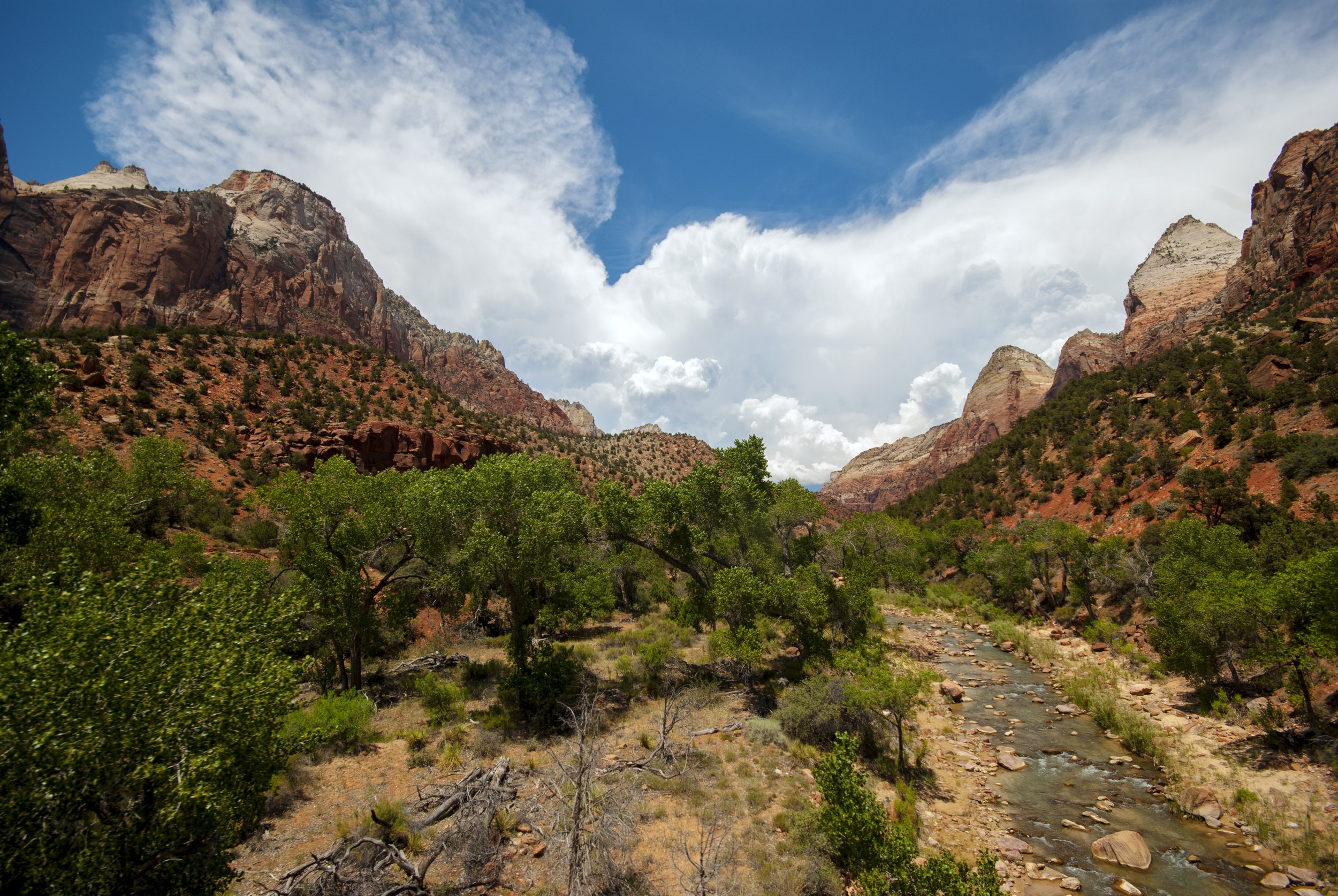 ZionCanyonMiddleofDay.jpg