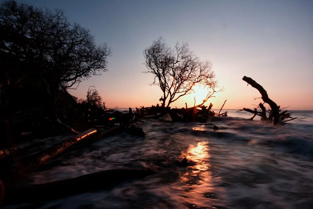 tidal_sunrise_by_bawwomick_d3ggmtq-fullview.jpg