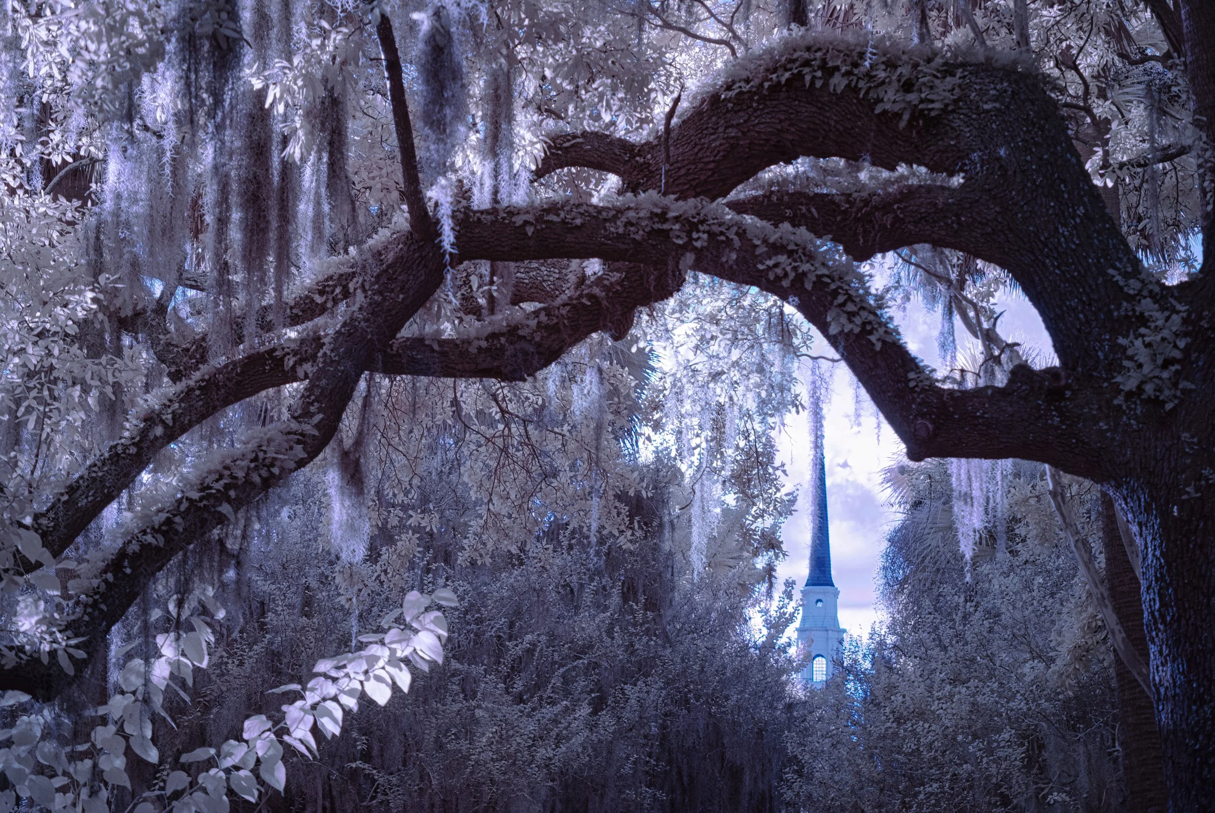 ChurchThroughtheOaks.jpg