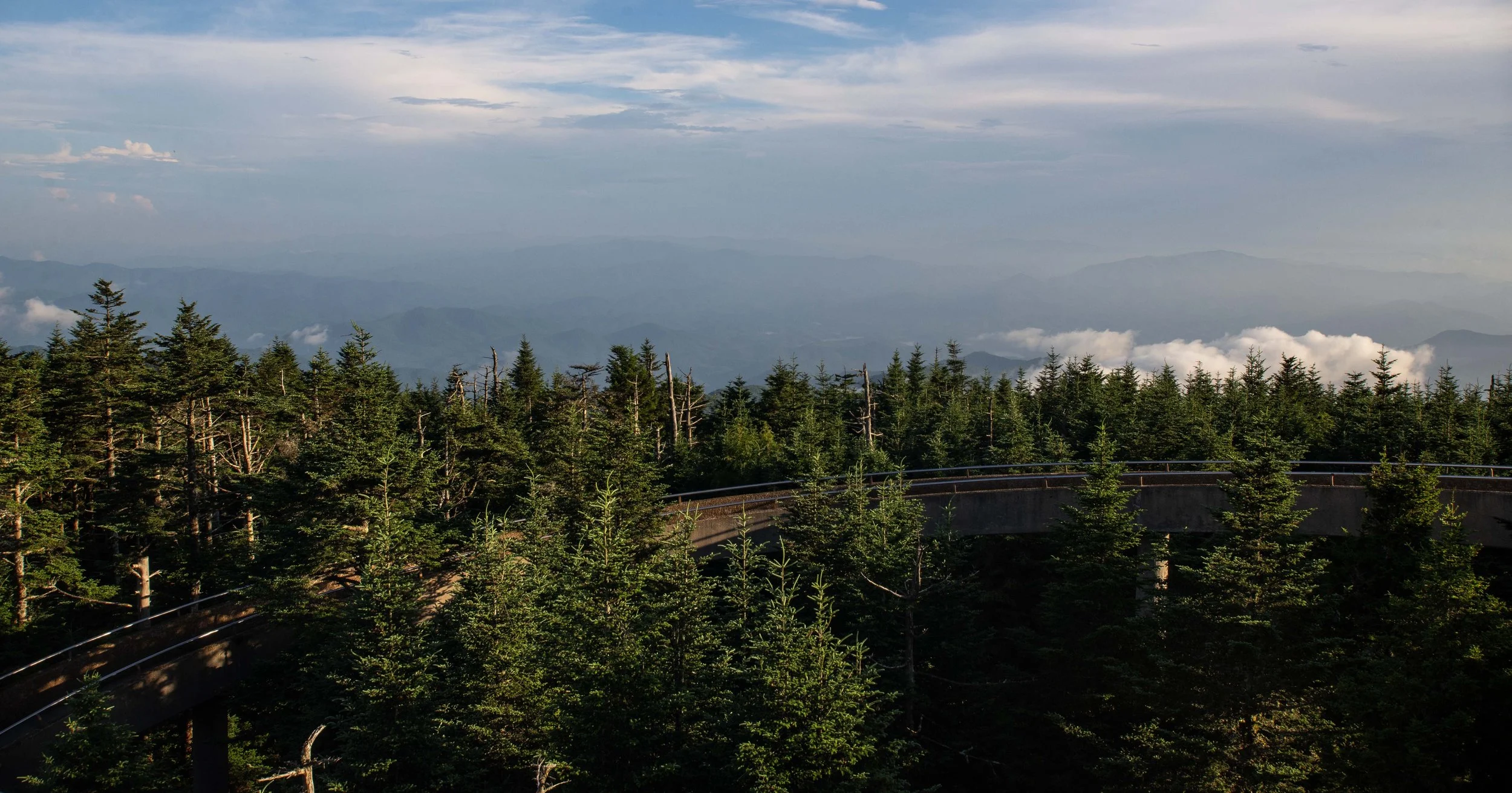 View of Observation Path.jpg