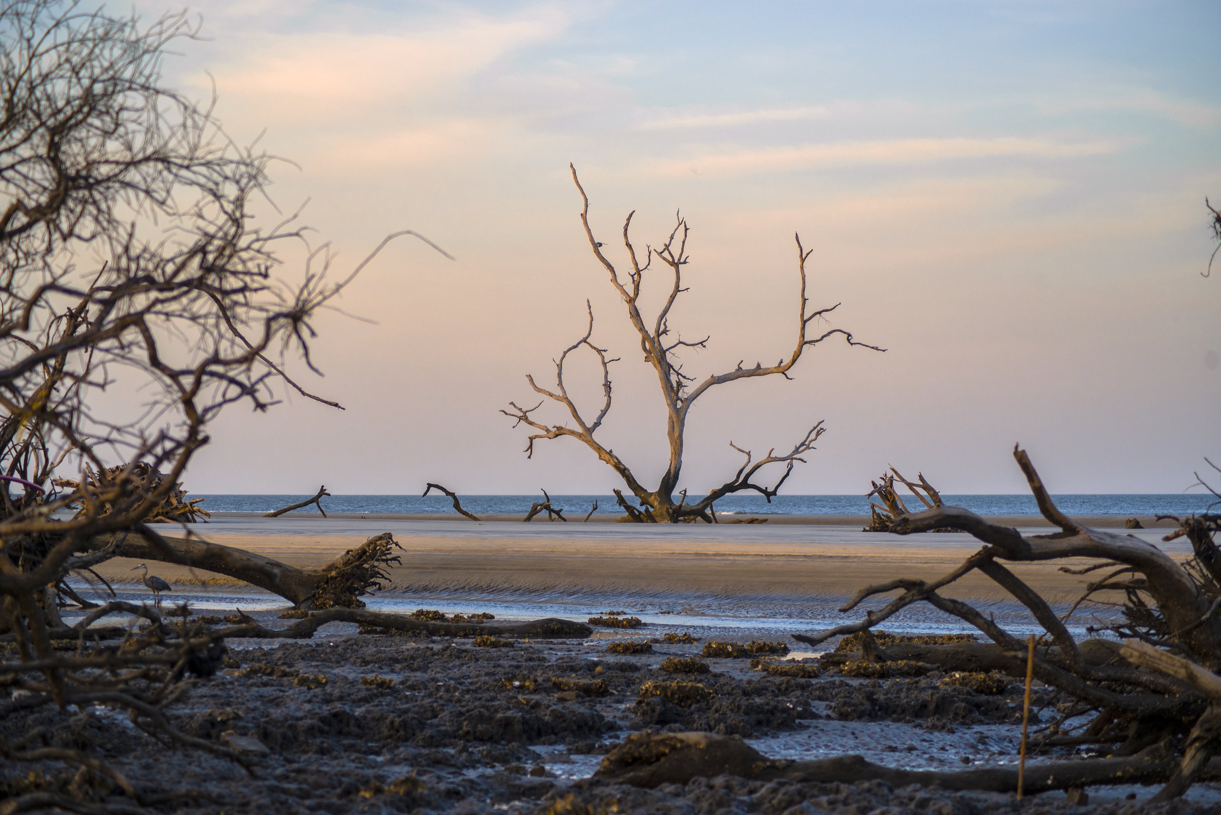 OysterbedLoneOakSandBar.jpg