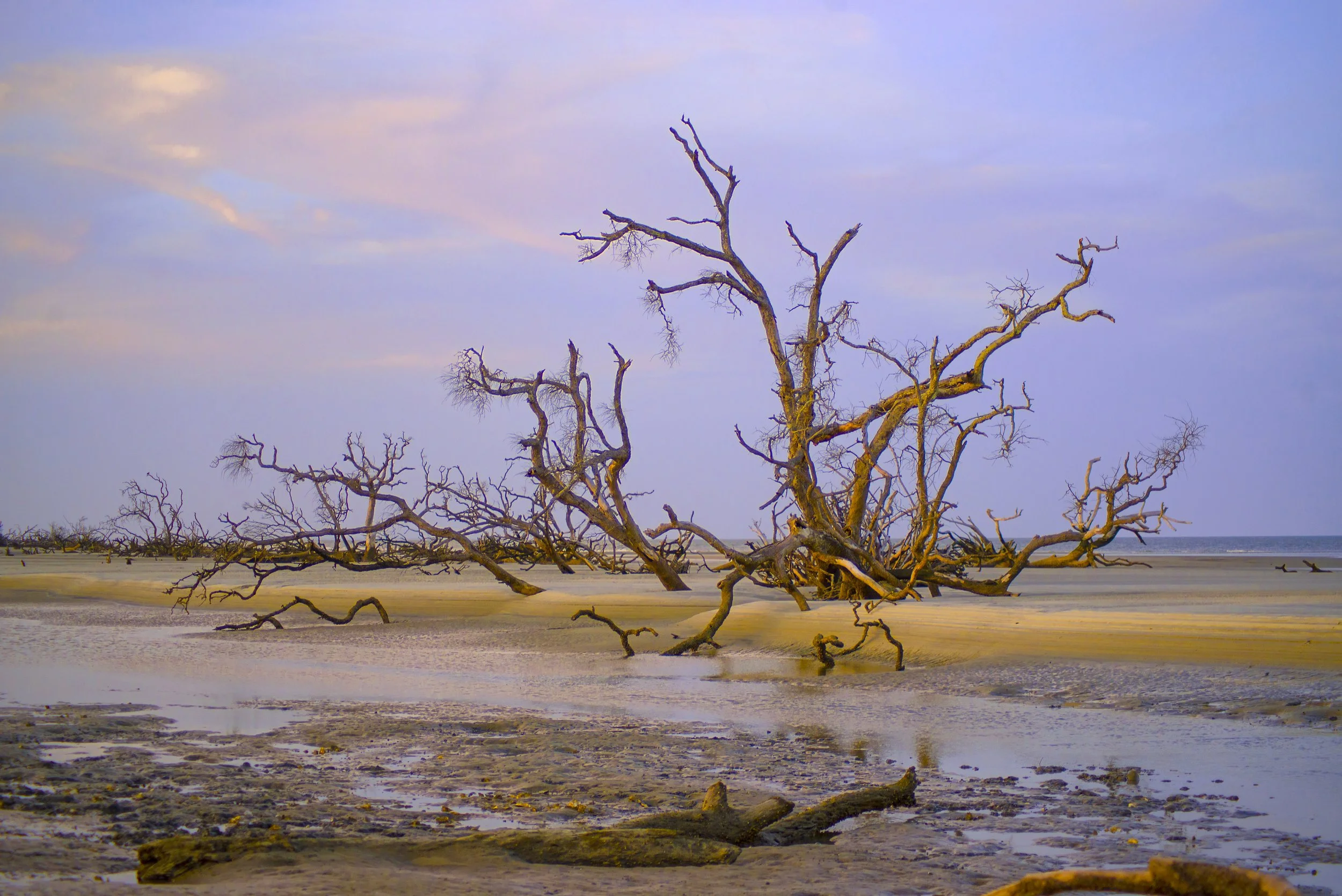 BoneyardSandBarHuntingIsland.jpg