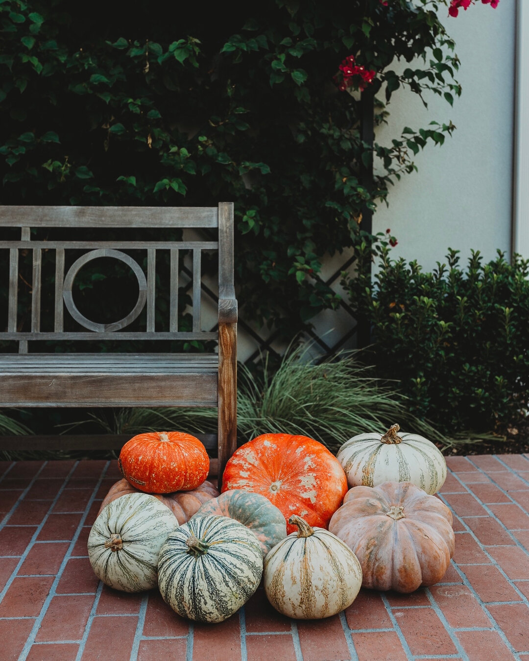Thankful to be filling our home this season with those near and dear. Wishing you the same harvest warmth.​​​​​​​​
​​​​​​​​
Happy Thanksgiving.