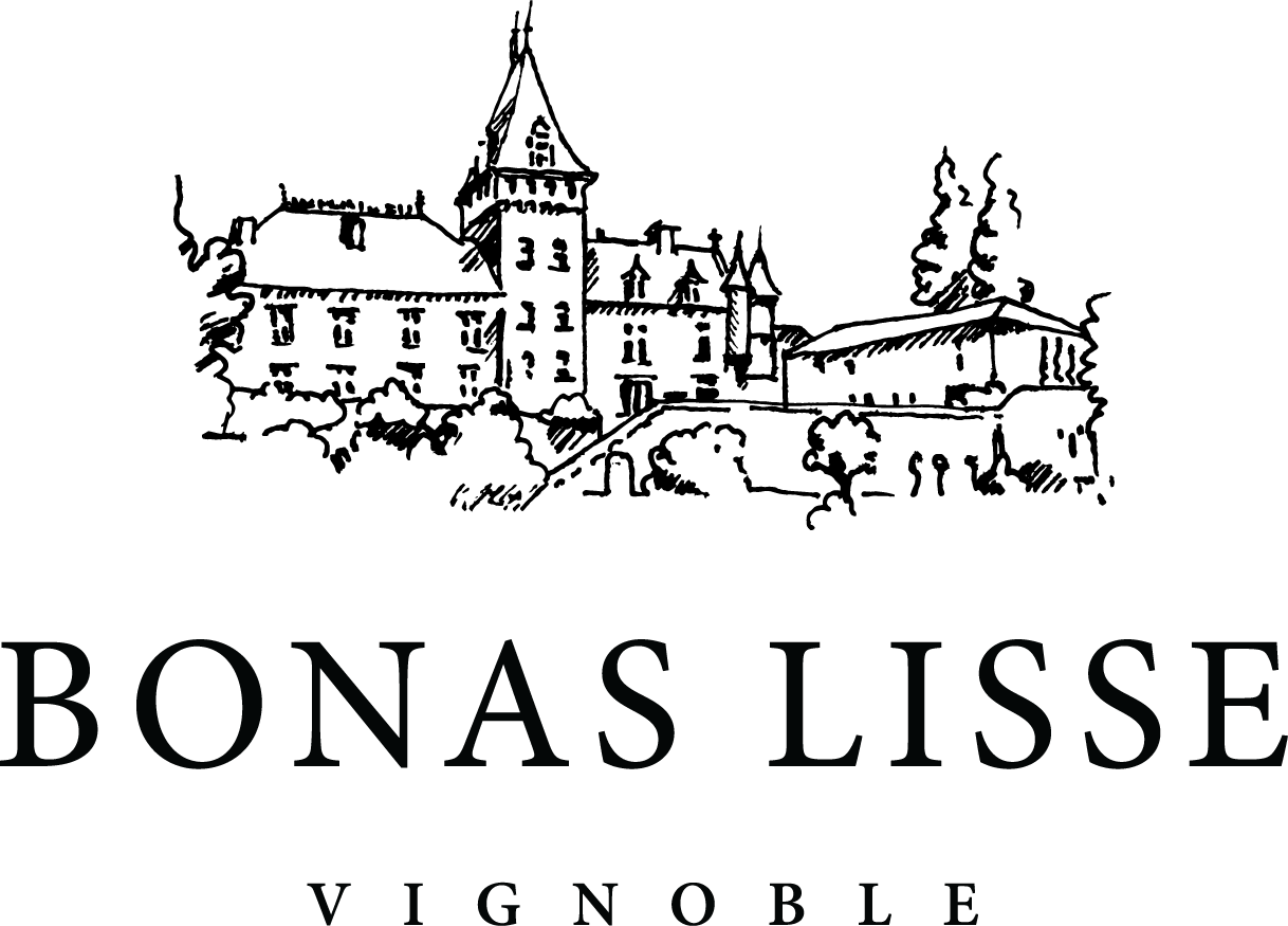 Bonas Lisse Vignoble