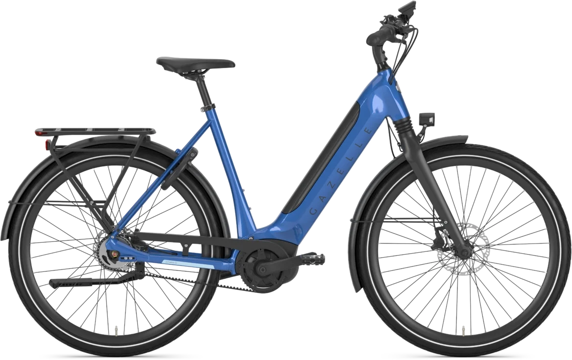 Gazelle tropical blue 1.webp
