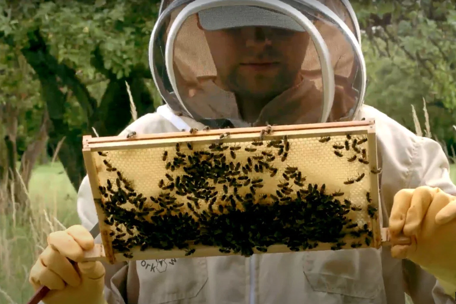 CROWDFUNDERS - "Bee Innovative"