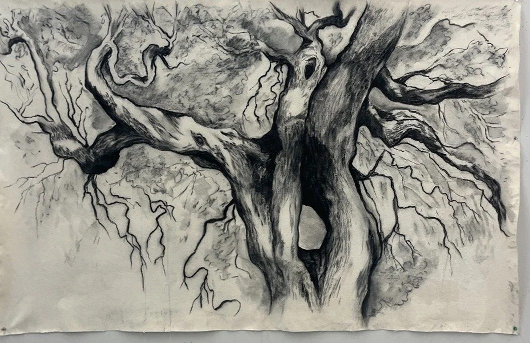 Live Oak
