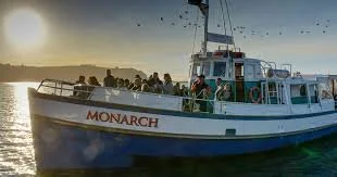 images-4.jpeg