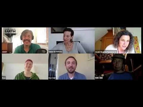 Transitioners (Stage 2 - Falling Apart)