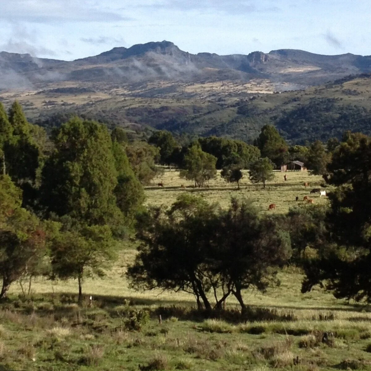 Ogiek, Mt. Elgon, Kenya