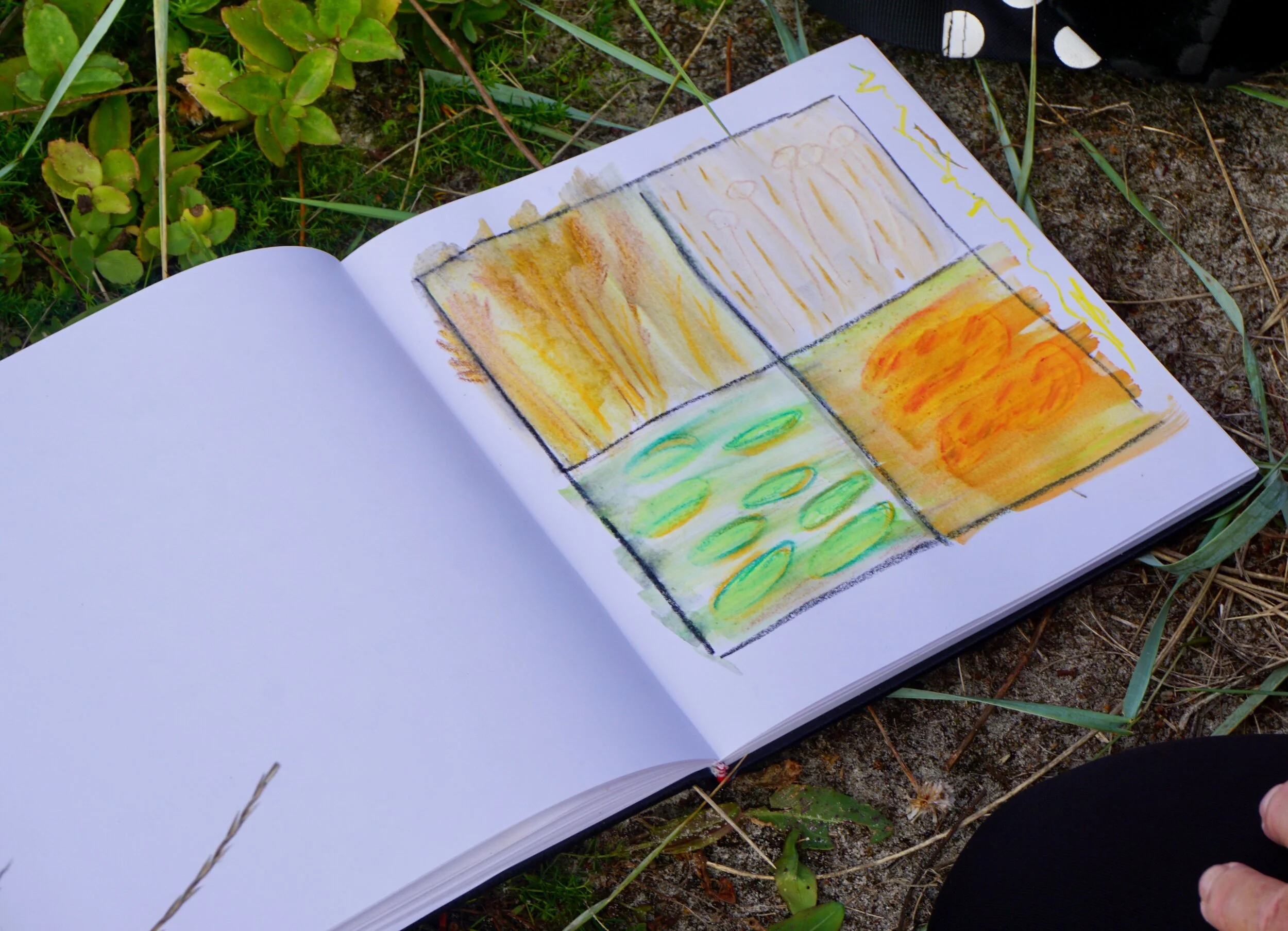 lizinspires_colour and texture observation. .jpeg