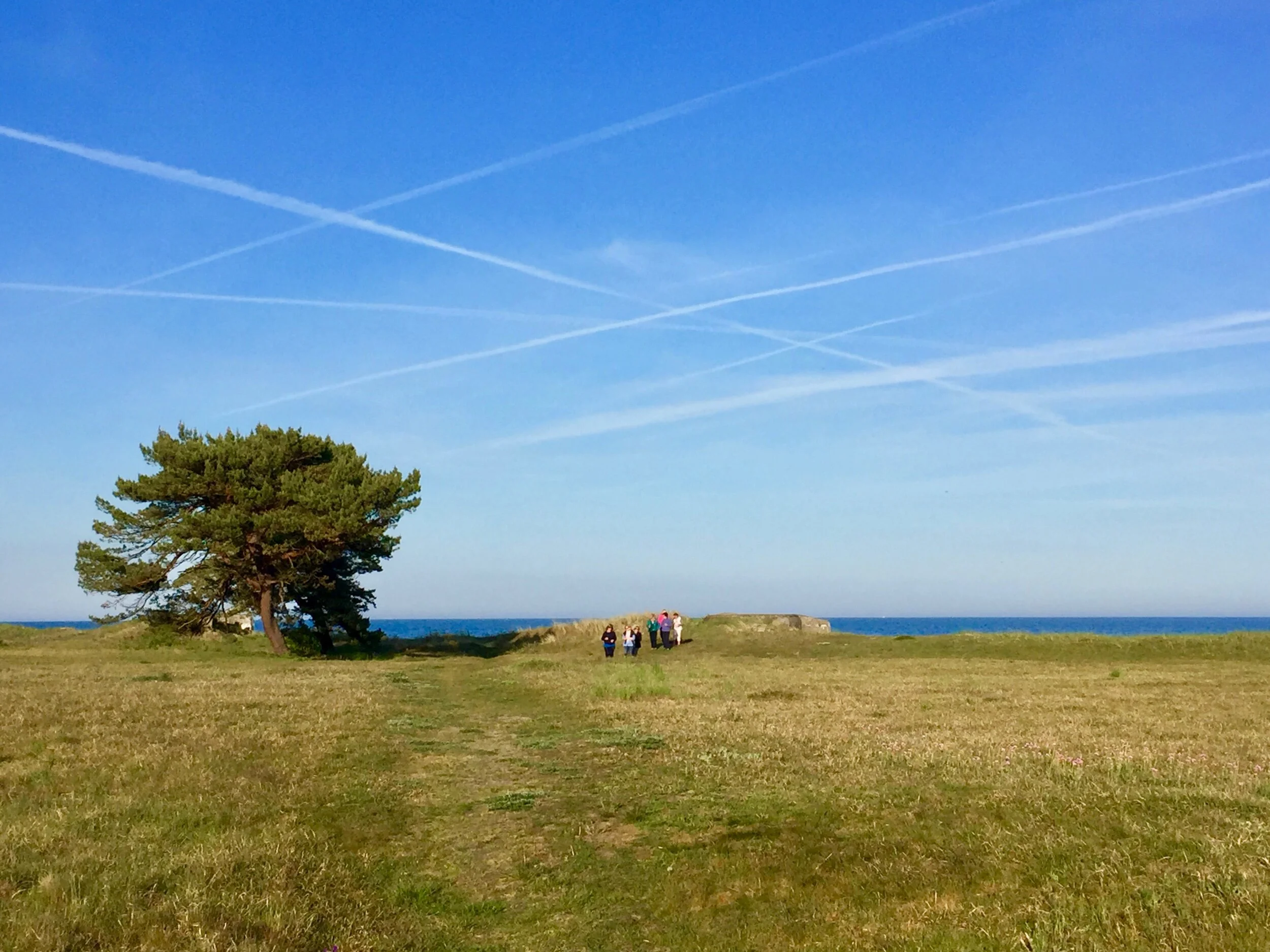 One week Summer Retreat in south of Sweden