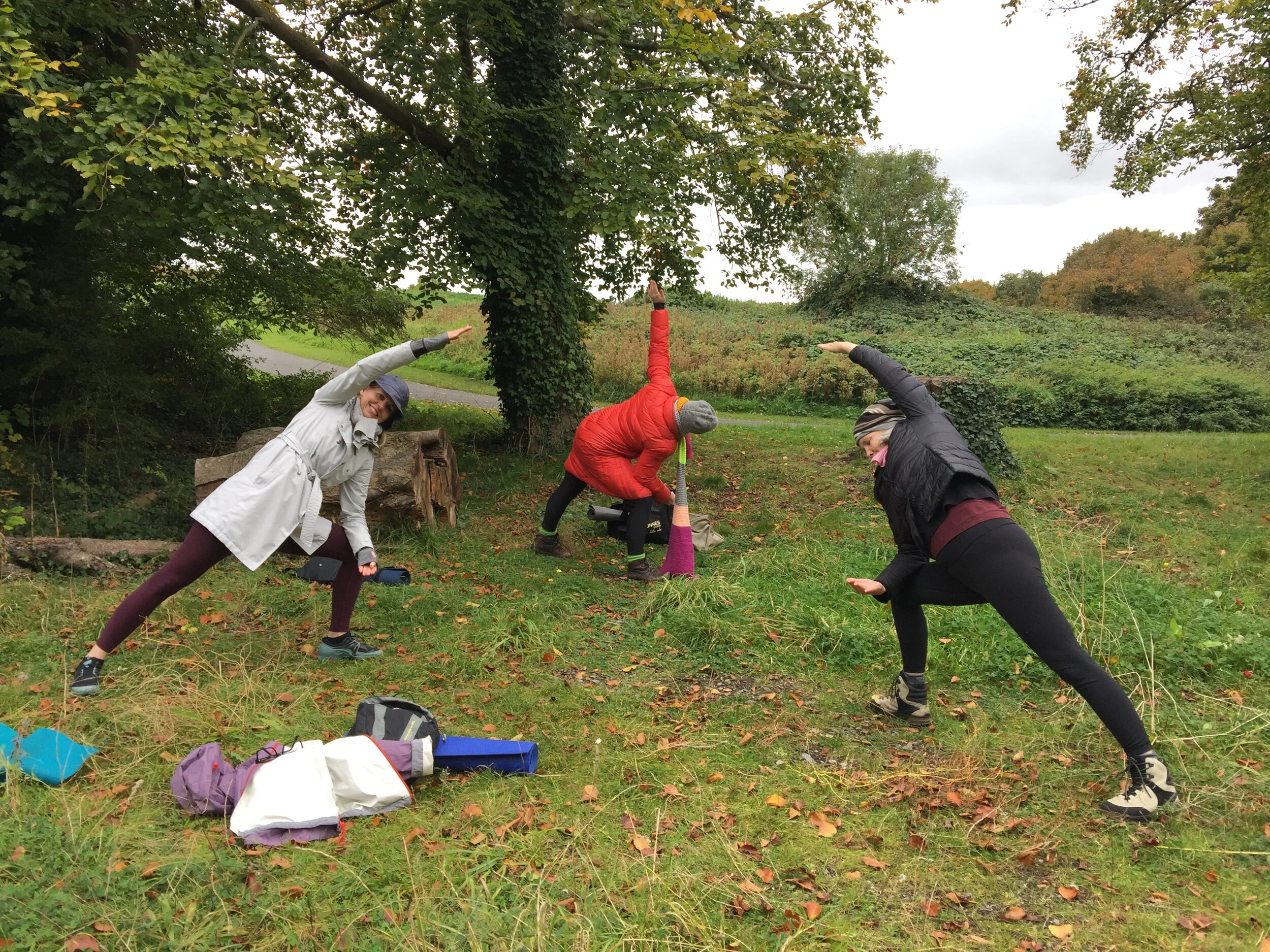 Yoga Walk, Phoenix Park -  (this event is postponed )