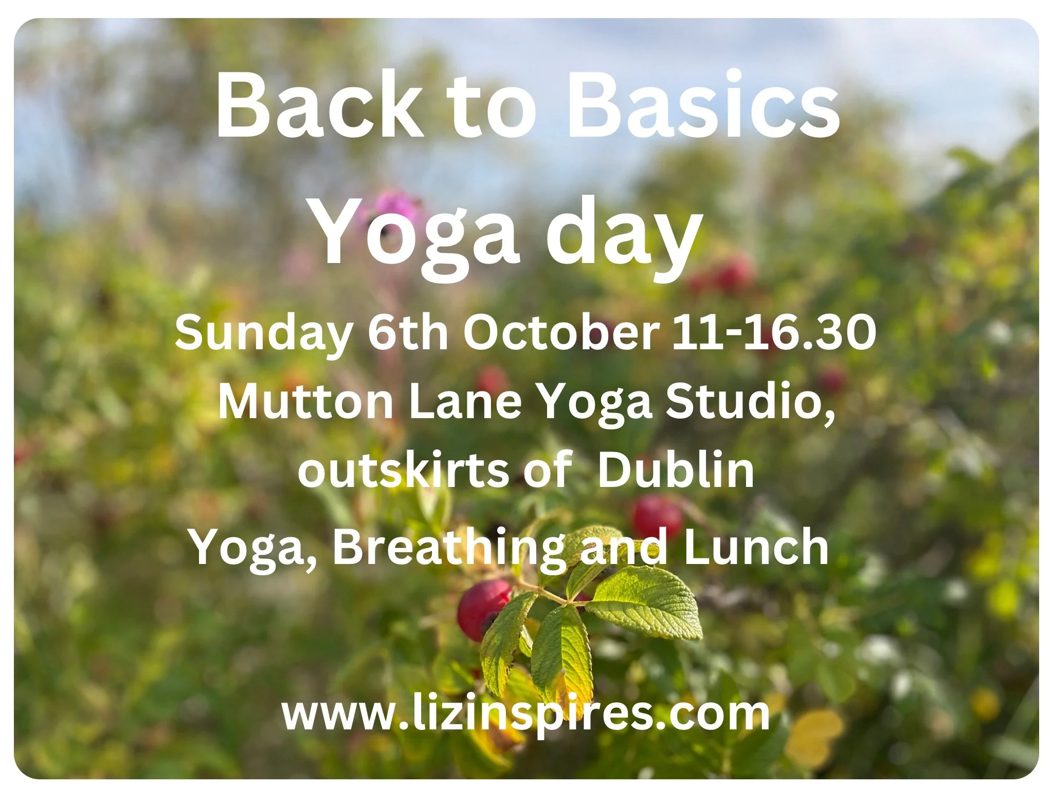 Autumn Back To Basics Yoga Workshop