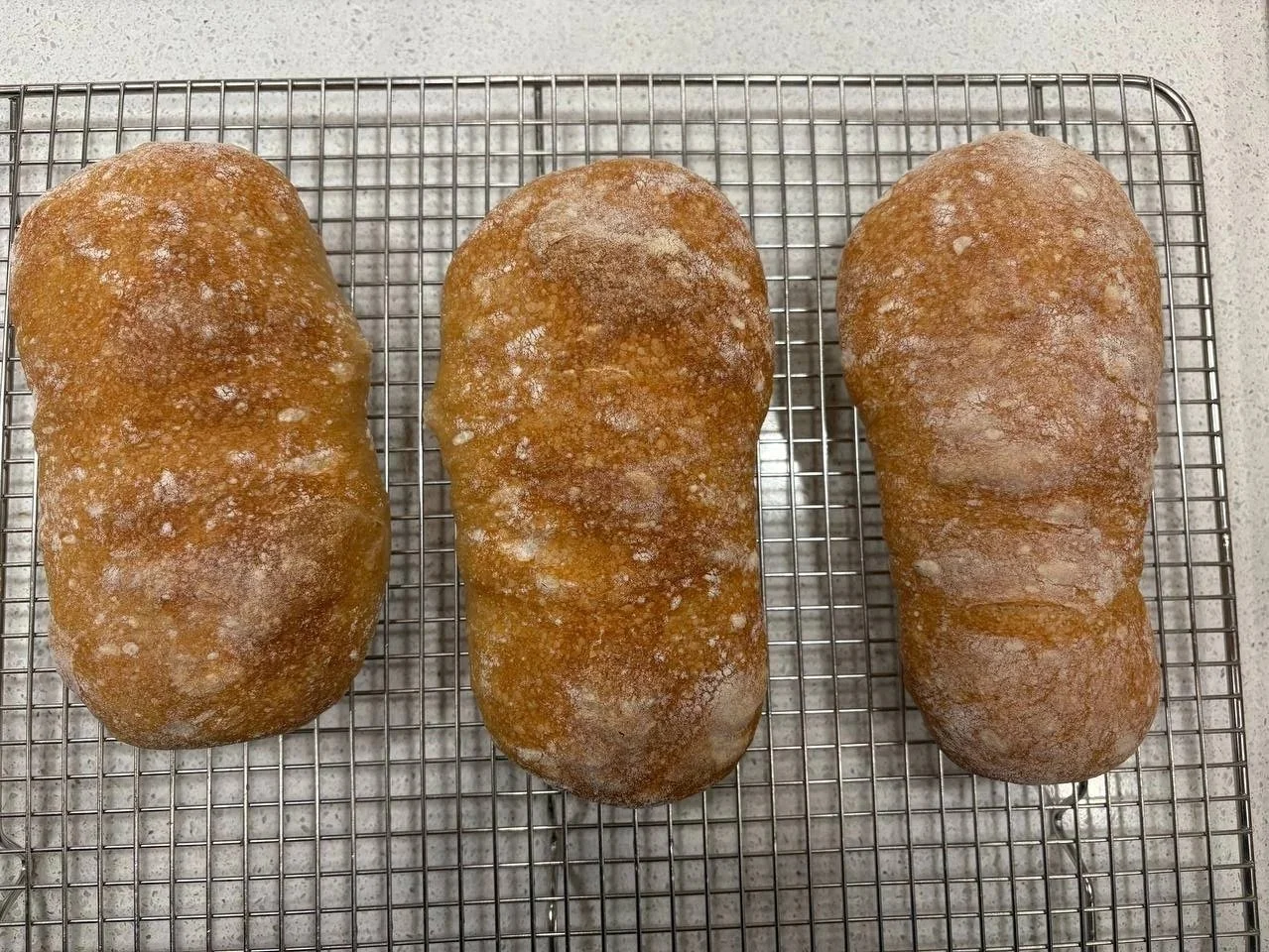 photo_2026-09-24+18.51.53.jpg