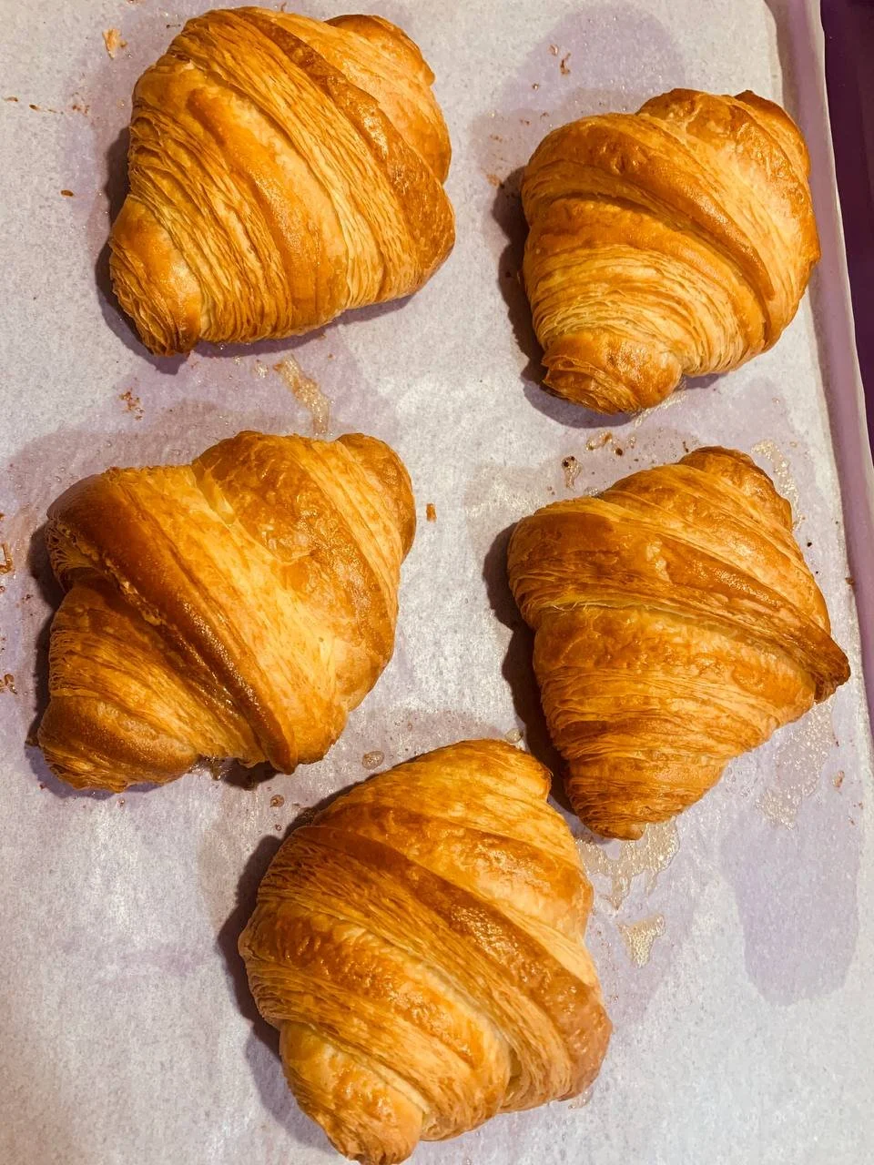 2026-01-01 16.07.14.jpg