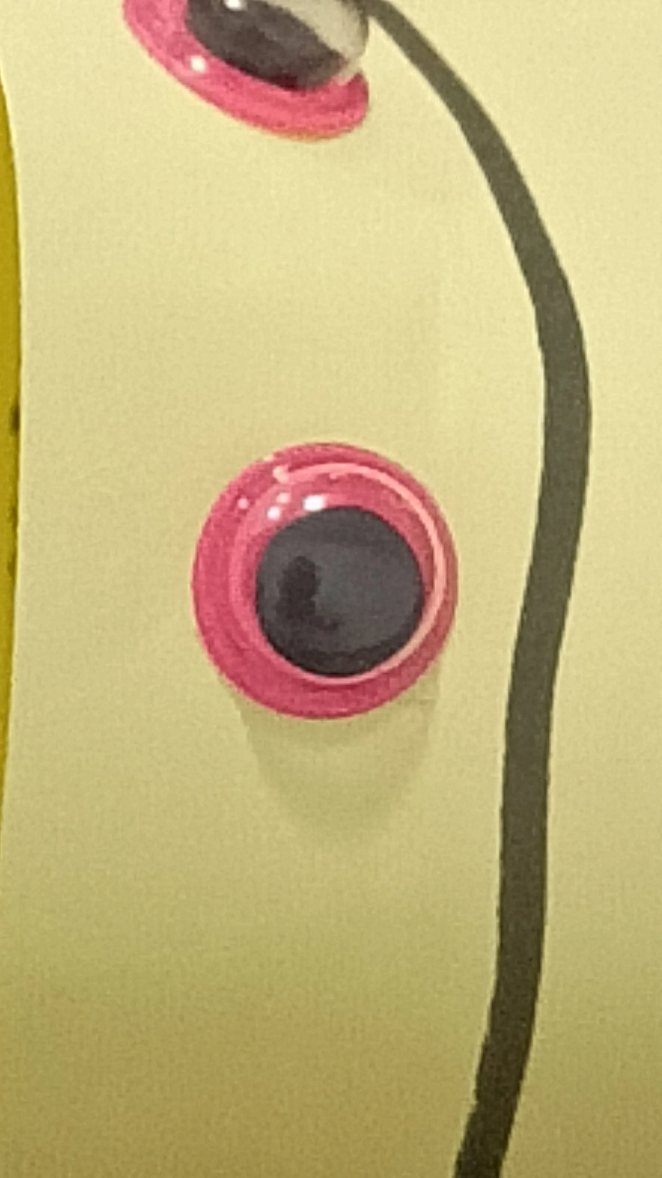 IMG20260711111918.jpg