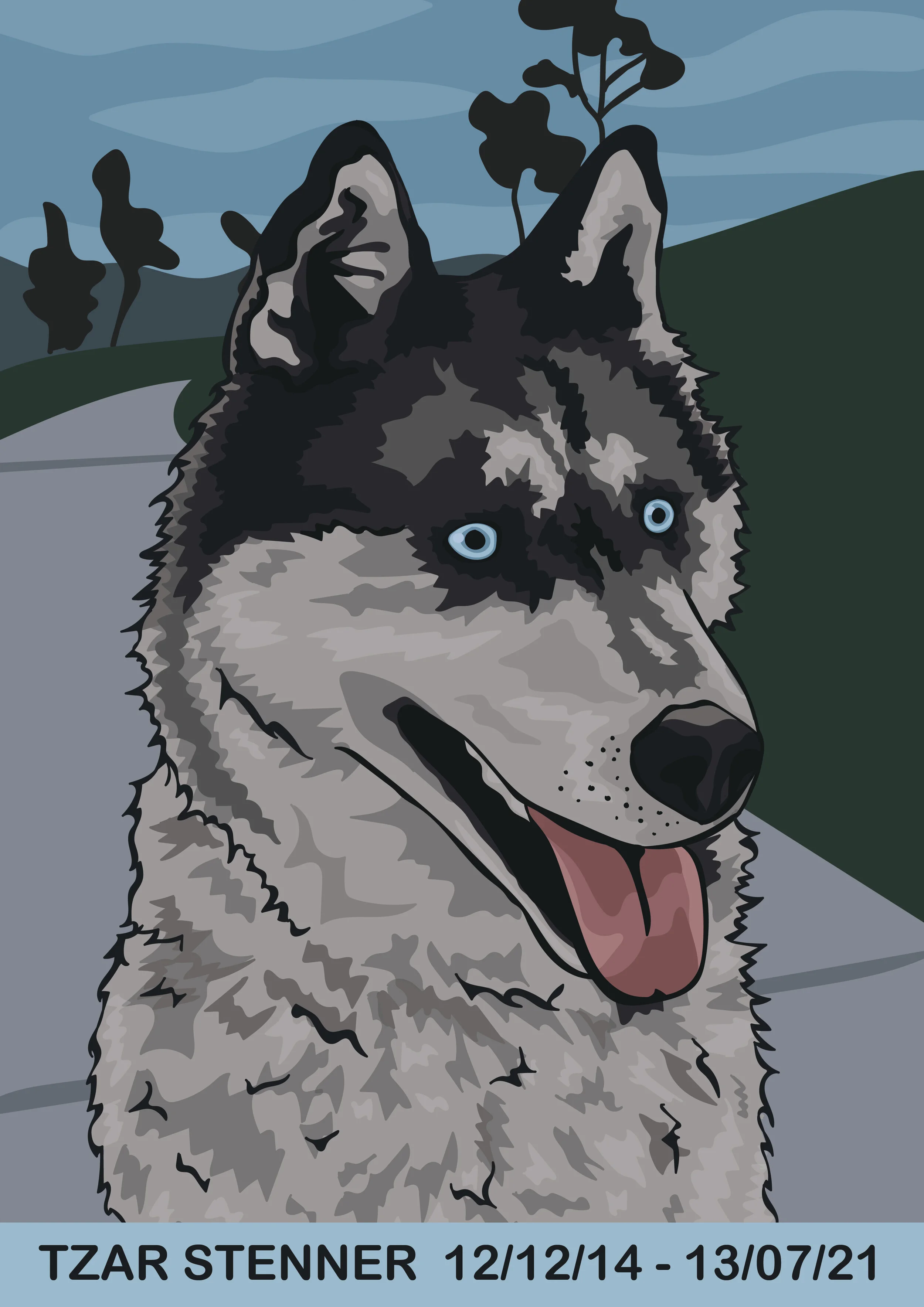 Tzar, for Shann, 2021