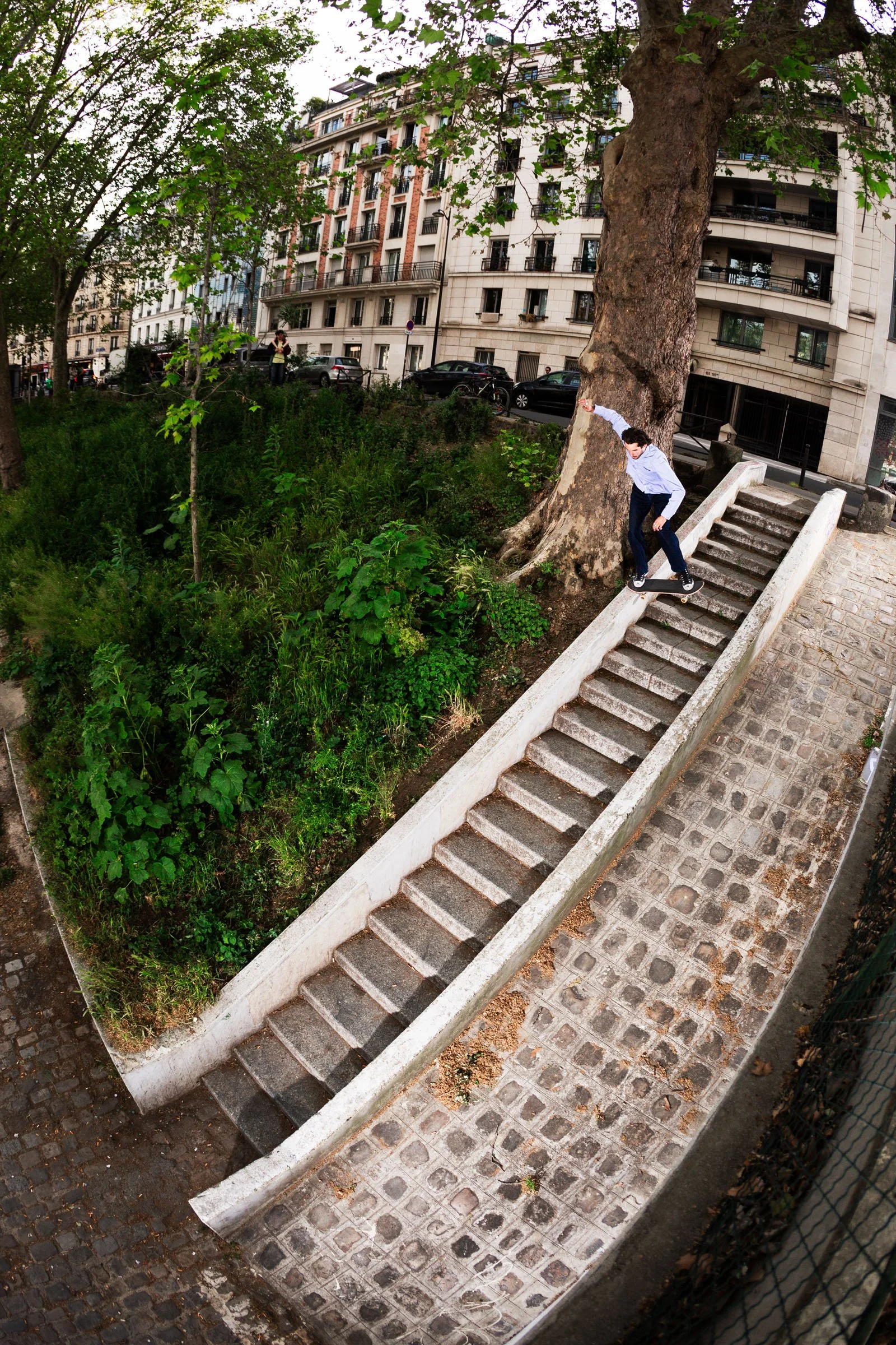 Mozza_Noseslide22_Fish1(color).jpg