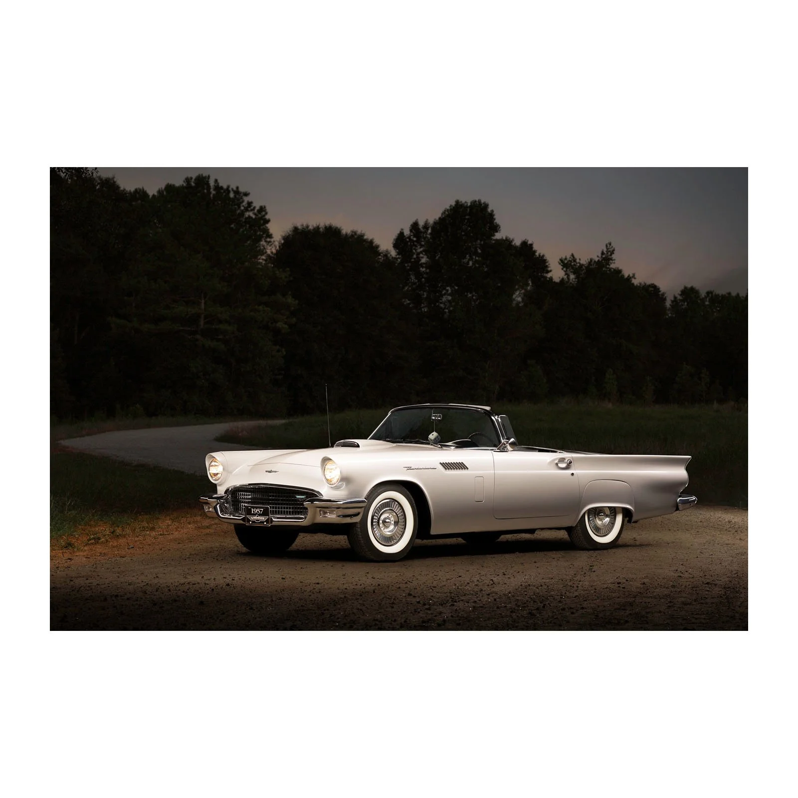 T-Bird