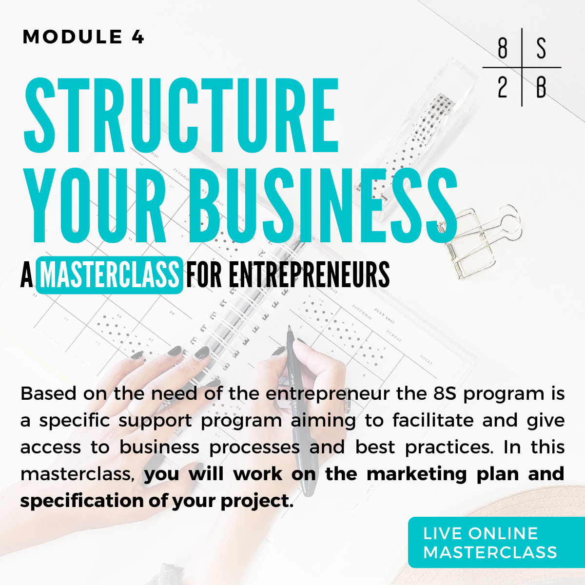 Website flyers - 8S PROGRAM_Structure.png