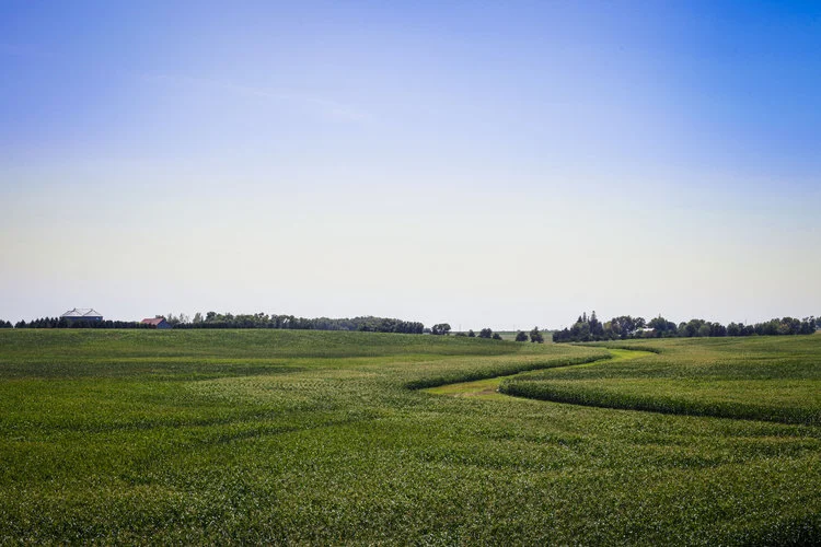 Road Tripping Around