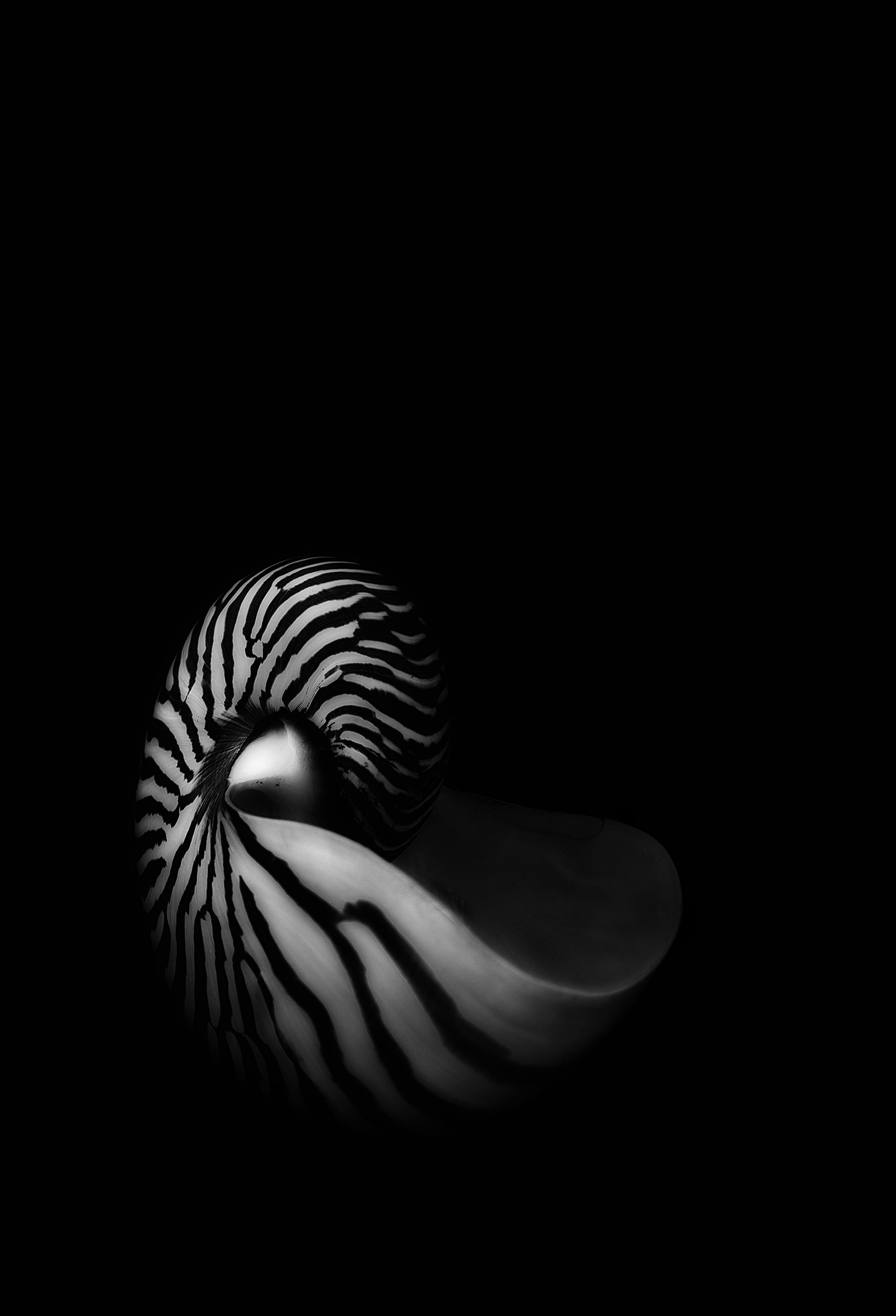 NAUTILUS
