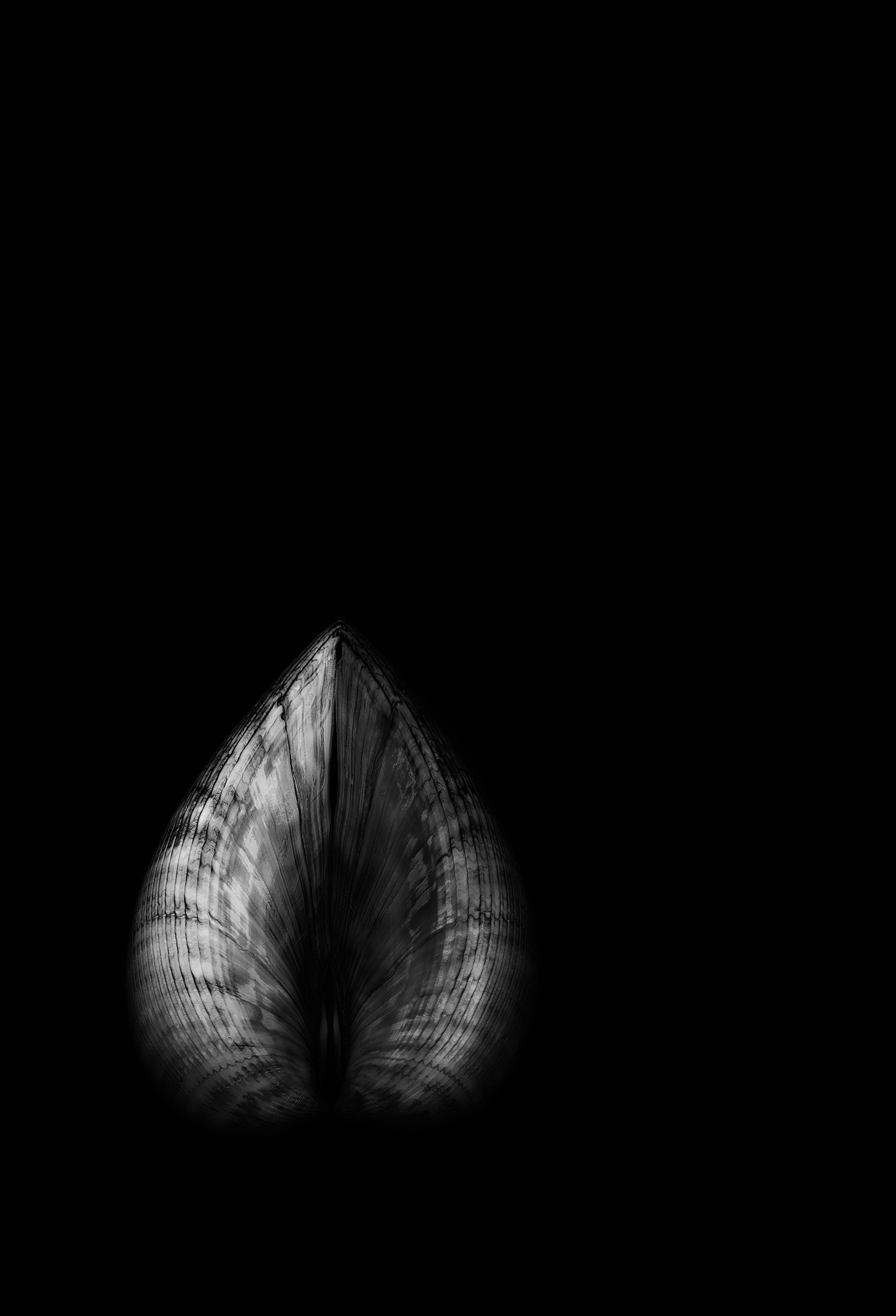 ELATUM