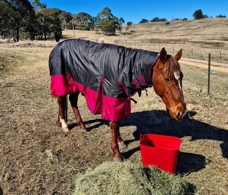 His first very own rug - 14th Aug 2021