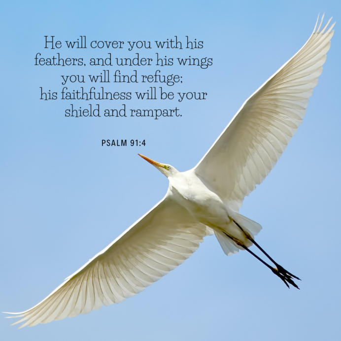 You are under God’s wings by Sarah Duffy