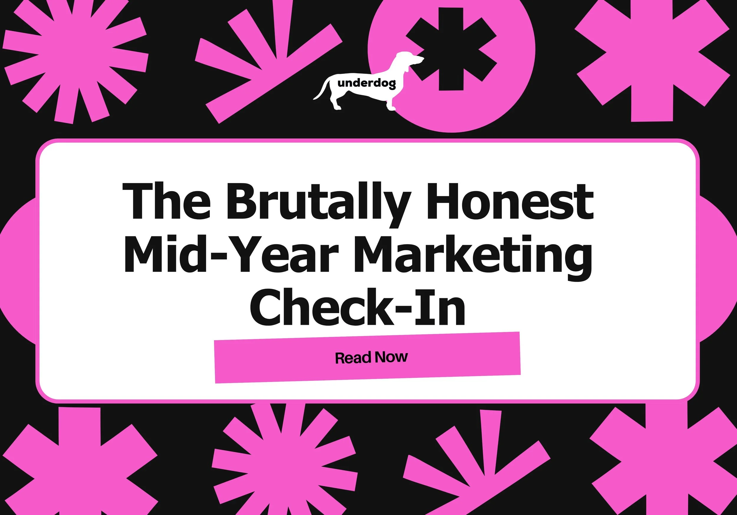 The Brutally Honest Mid-Year Marketing Check-In: A practical guide from The Underdog Agency