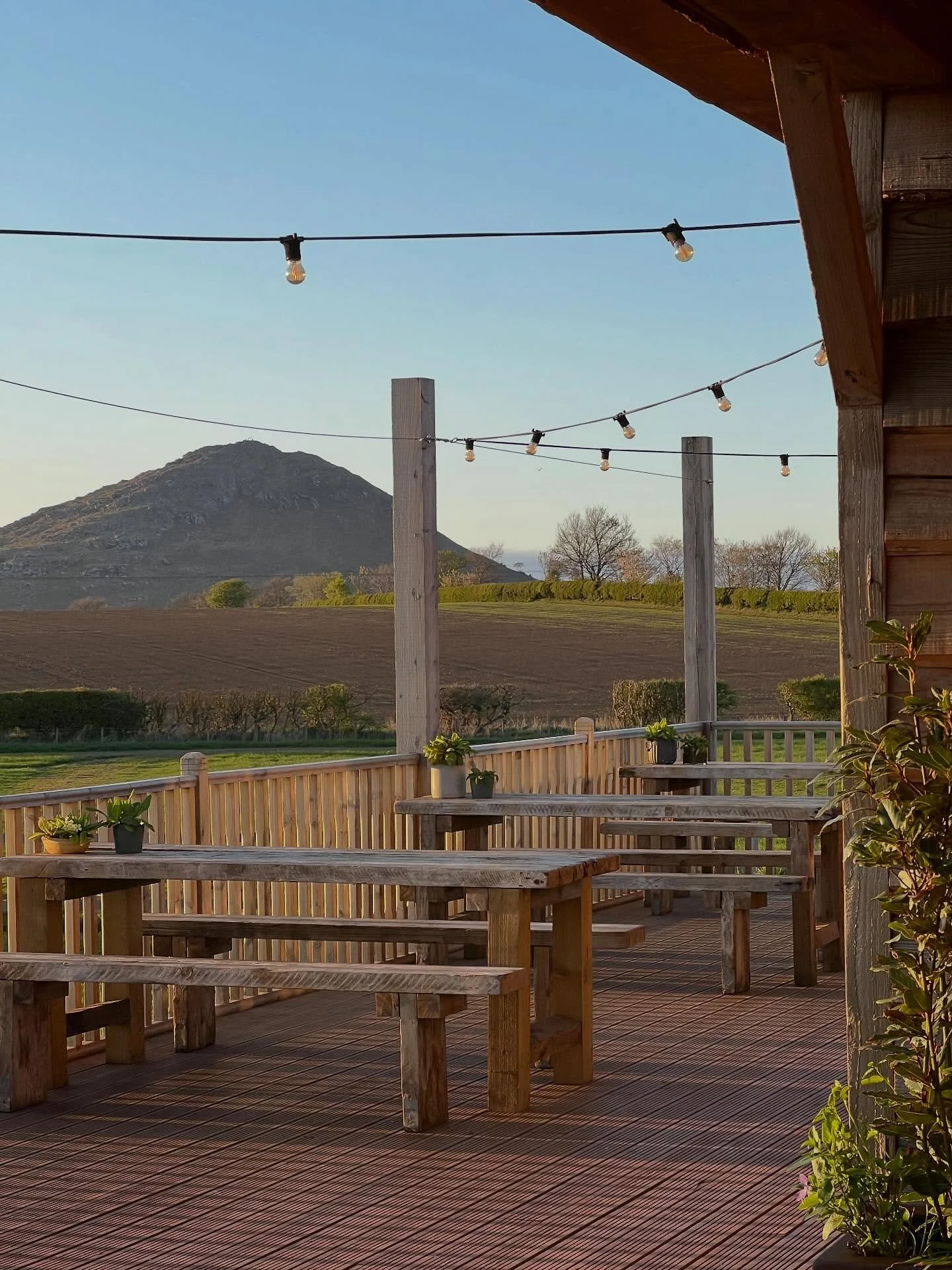 Oh we are so back 

Open Friday - Sunday, 9am-3pm 

Coffee, bakes, sandwiches and also some pumpkin soup. What could be better!