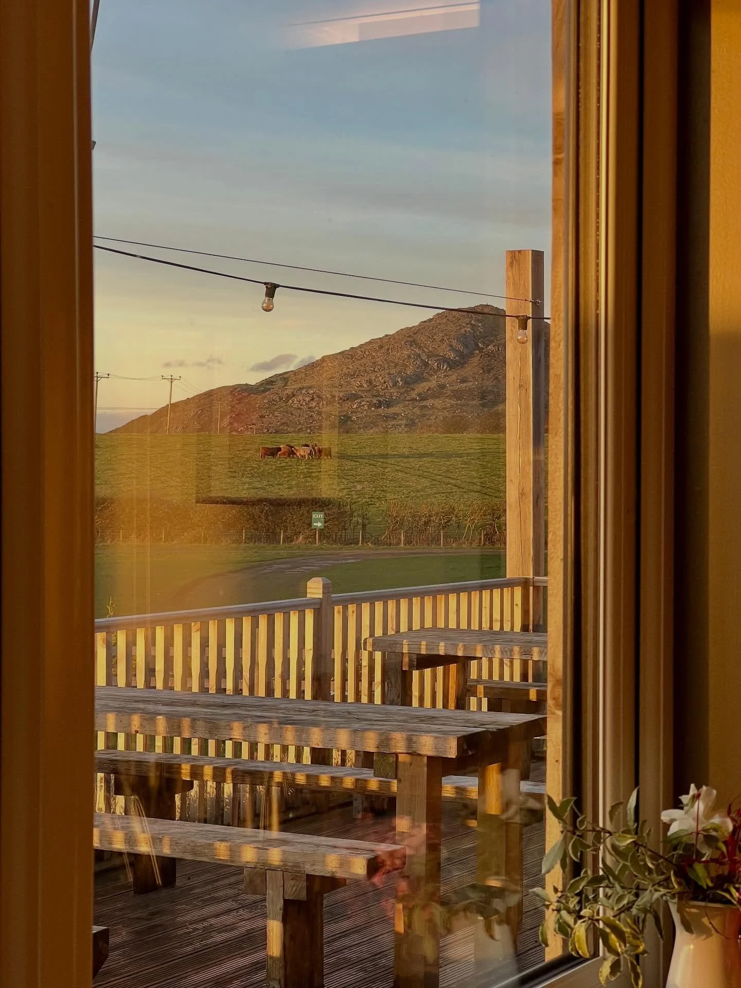 Another fantastic weekend here at Herd. 

A bit of winter sun never seems to miss! See you all on Friday