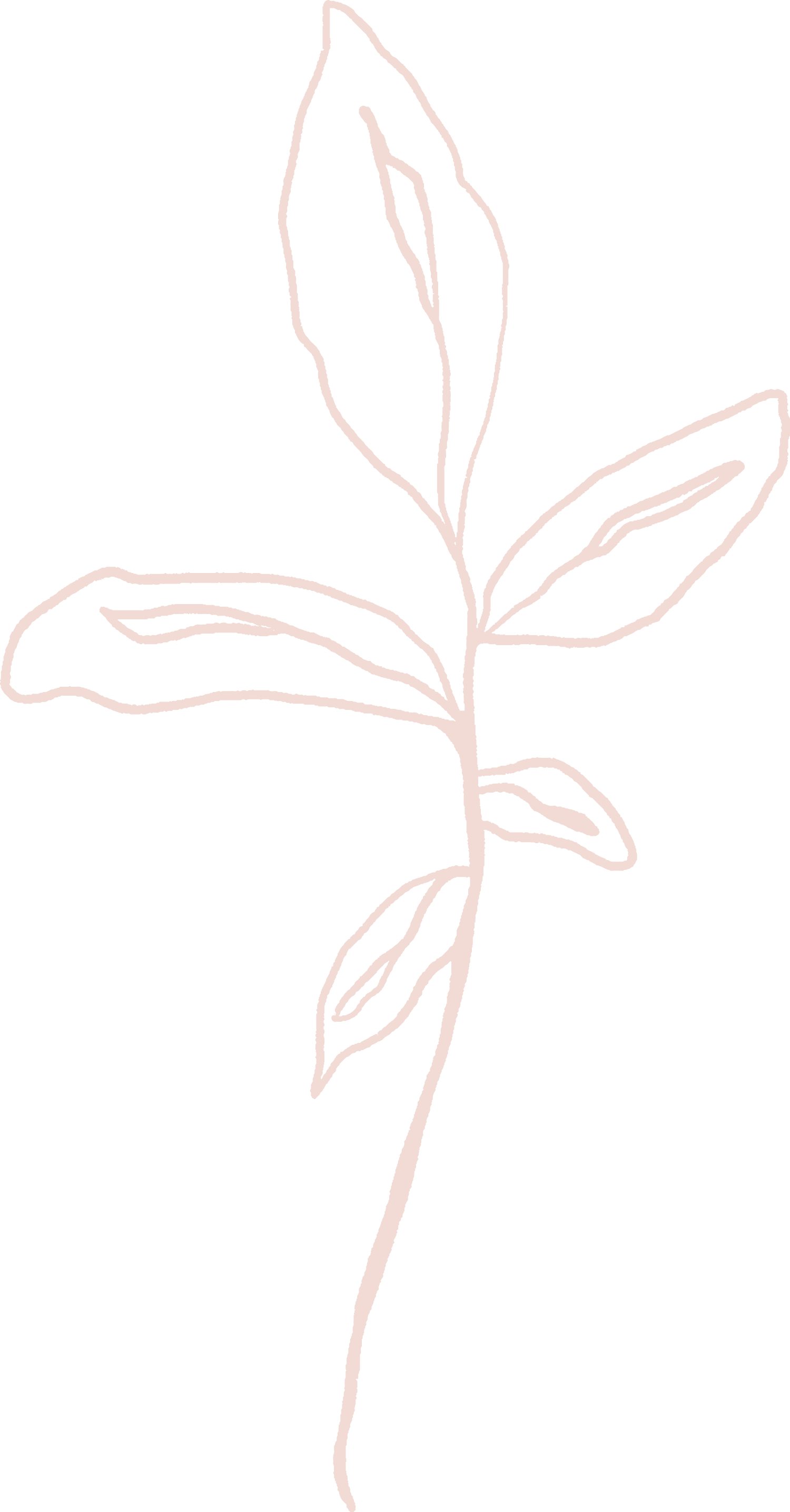 Botanical Icon 2 Fine Artist Abby Ecker Pink.png