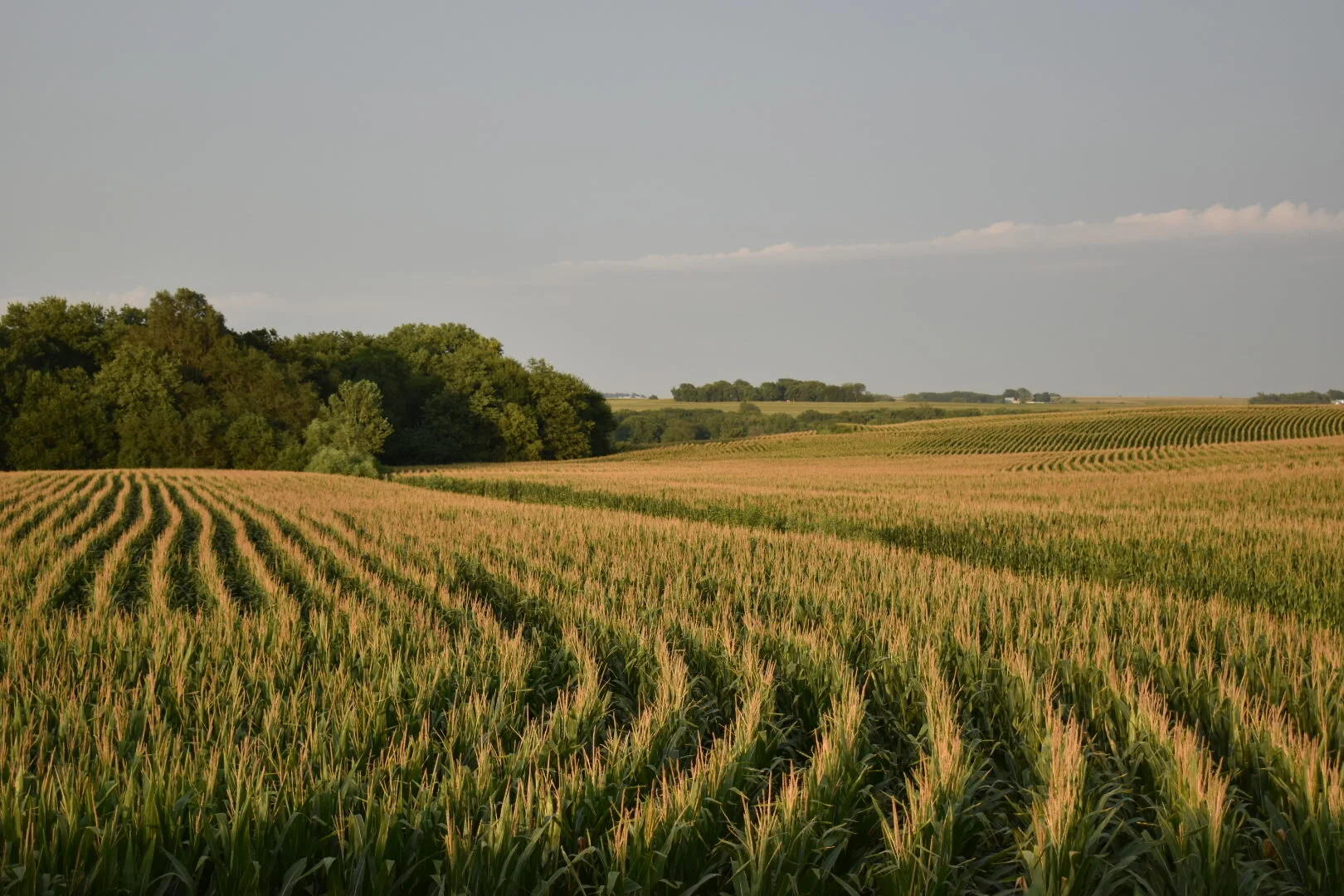 Farming and Rural LIfe