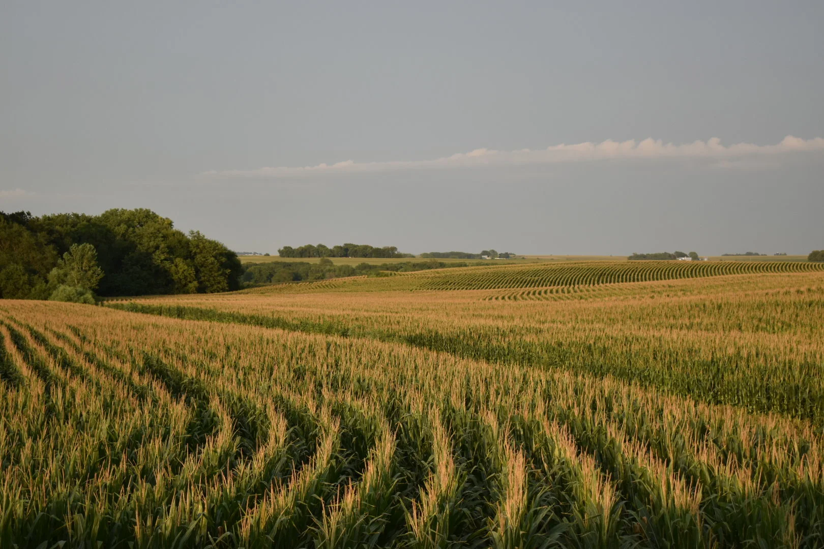 DSC_0280_1.jpg