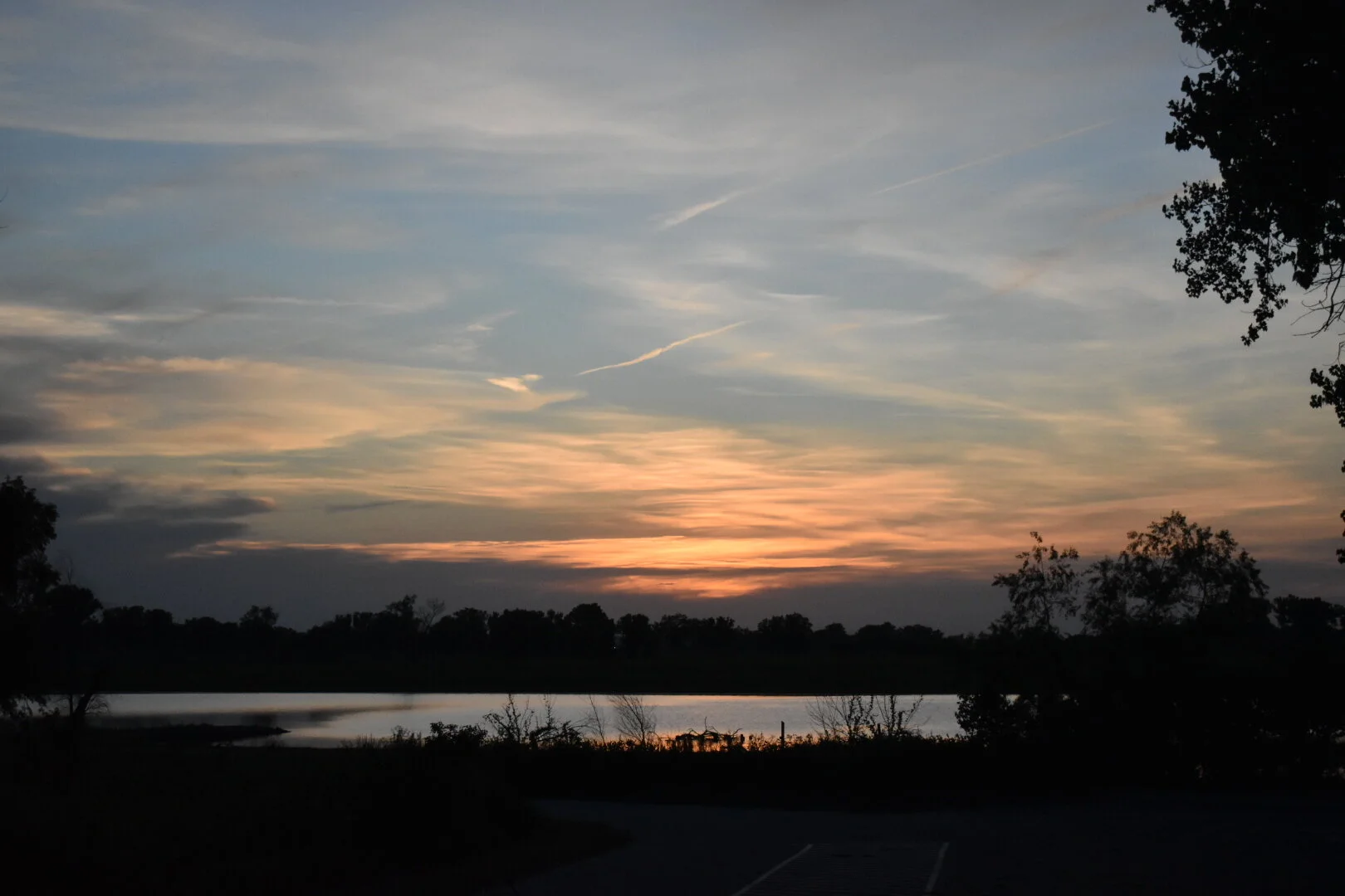 DSC_0311.jpg